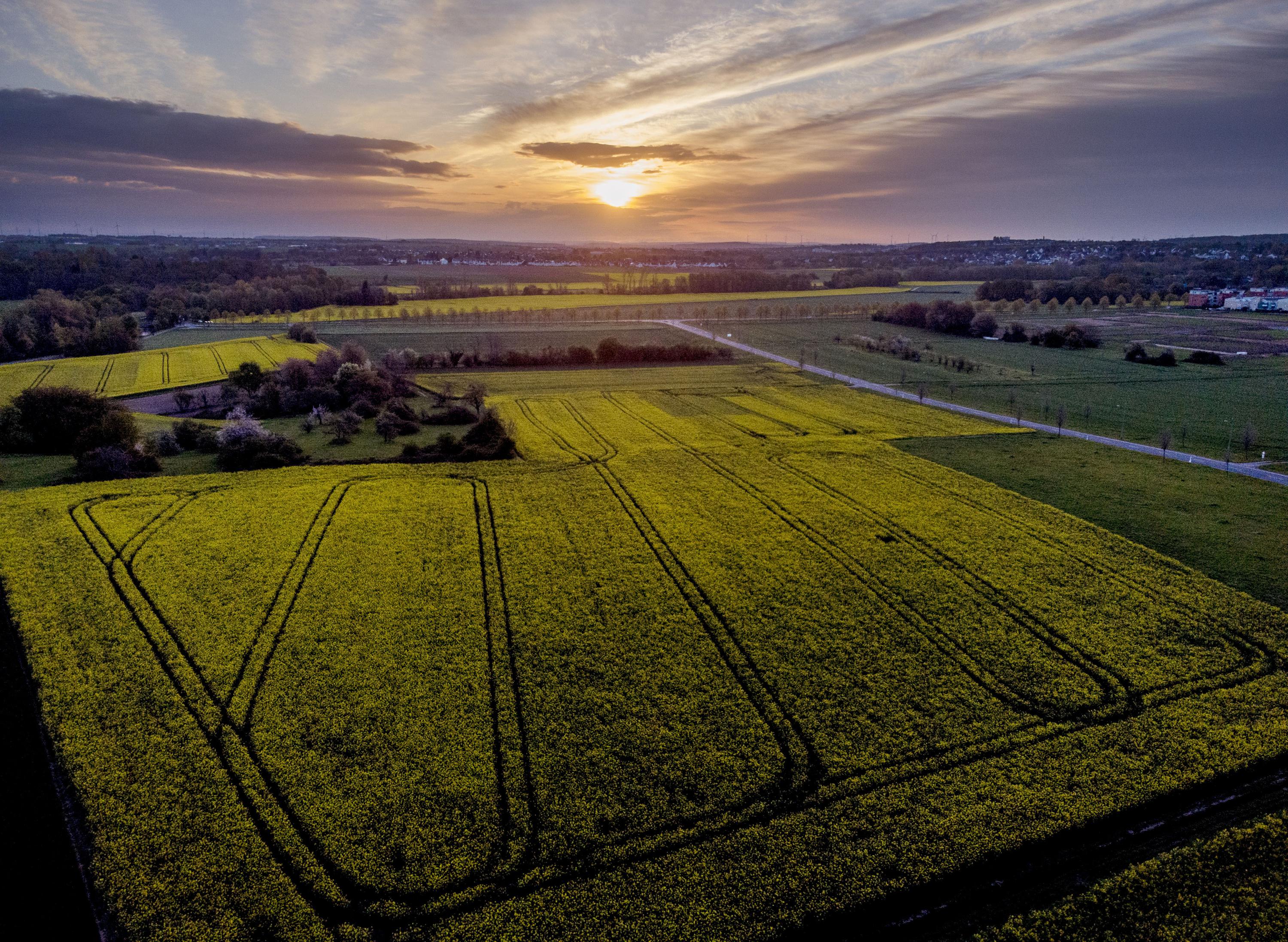 Germany Aims For Net Zero Emissions By 2045 5 Years Earlier