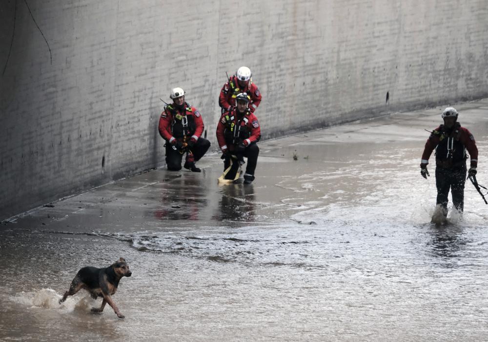 Rescate de un perro en Los Ángeles. | AP