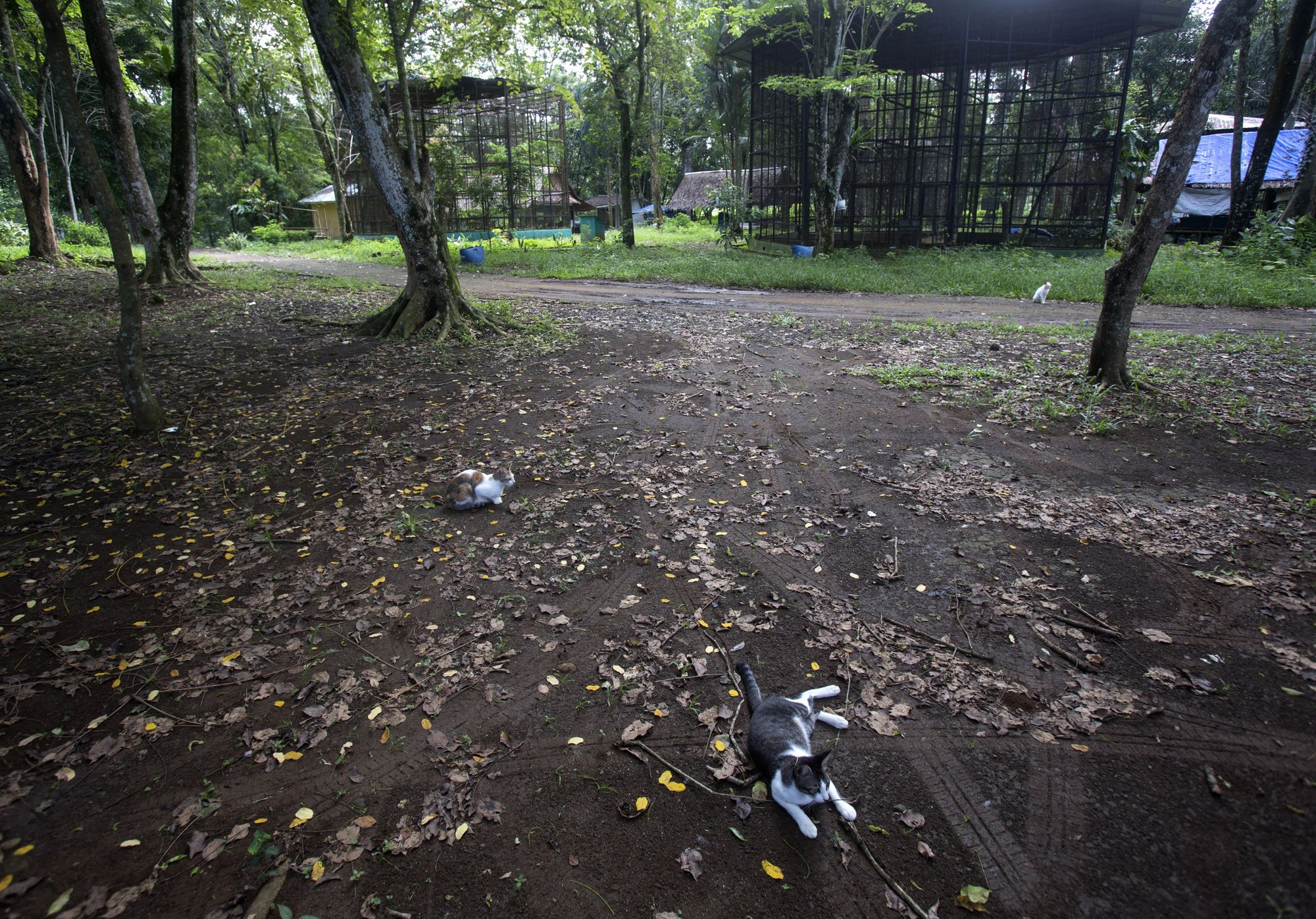 2000 Економічні новини