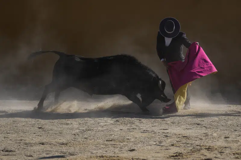 Bullfighting Ban Faces Critical Legislative Vote in Colombia