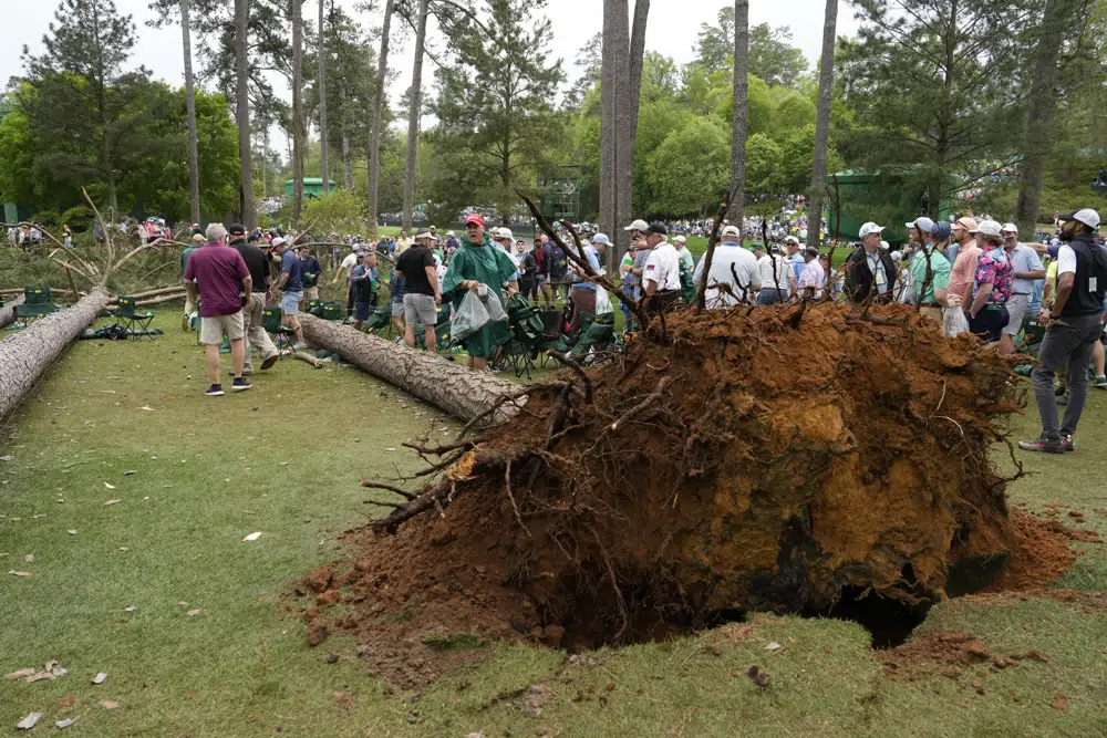 Play Suspended After Trees Fall Into Gallery at Augusta National, No