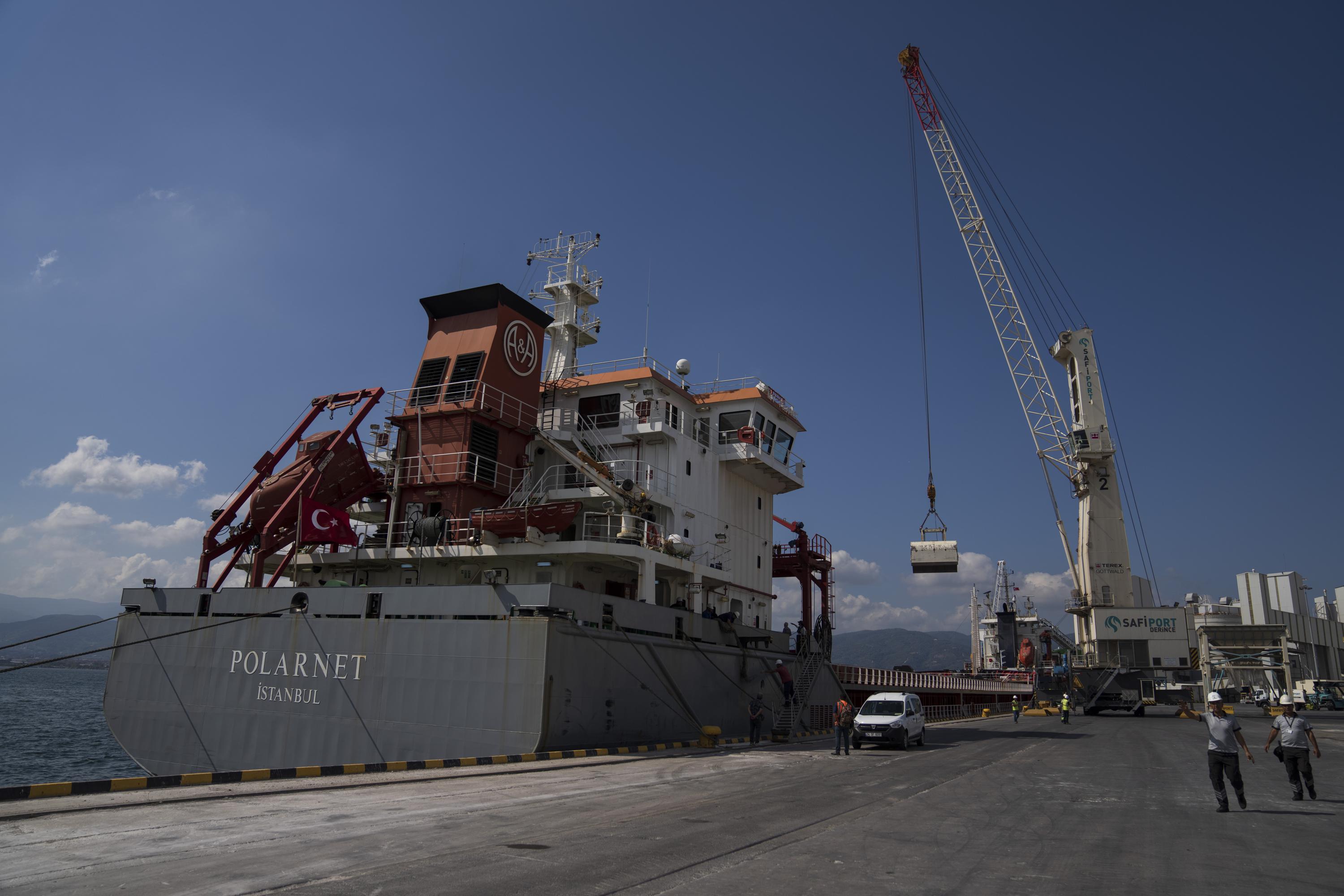 Grain ship from Ukraine docks in Turkey, nuke plant shelled