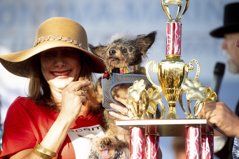 2019 ugliest dog