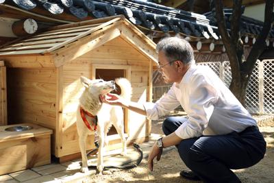 Animal And Younge Ledy Sex - Dogs gifted by Kim Jong Un at center of South Korean row | AP News