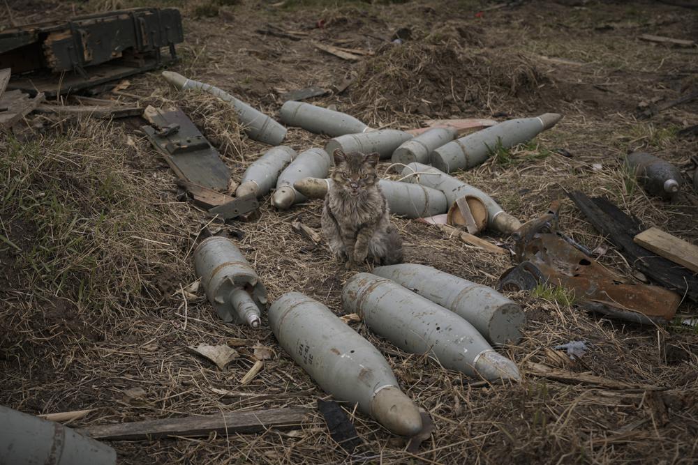 Un gato se sienta entre rondas de municiones de gran calibre abandonadas por las fuerzas rusas en retirada o recuperadas de vehículos de combate destruidos en la aldea de Andriivka, Ucrania, gravemente afectada por los combates entre las fuerzas rusas y ucranianas, el miércoles 6 de abril de 2022. Varios edificios en la aldea quedaron reducidos a montones de ladrillos y metal corrugado y los residentes luchan sin calefacción, electricidad o gas para cocinar.  (Foto AP/Vadim Ghirda)