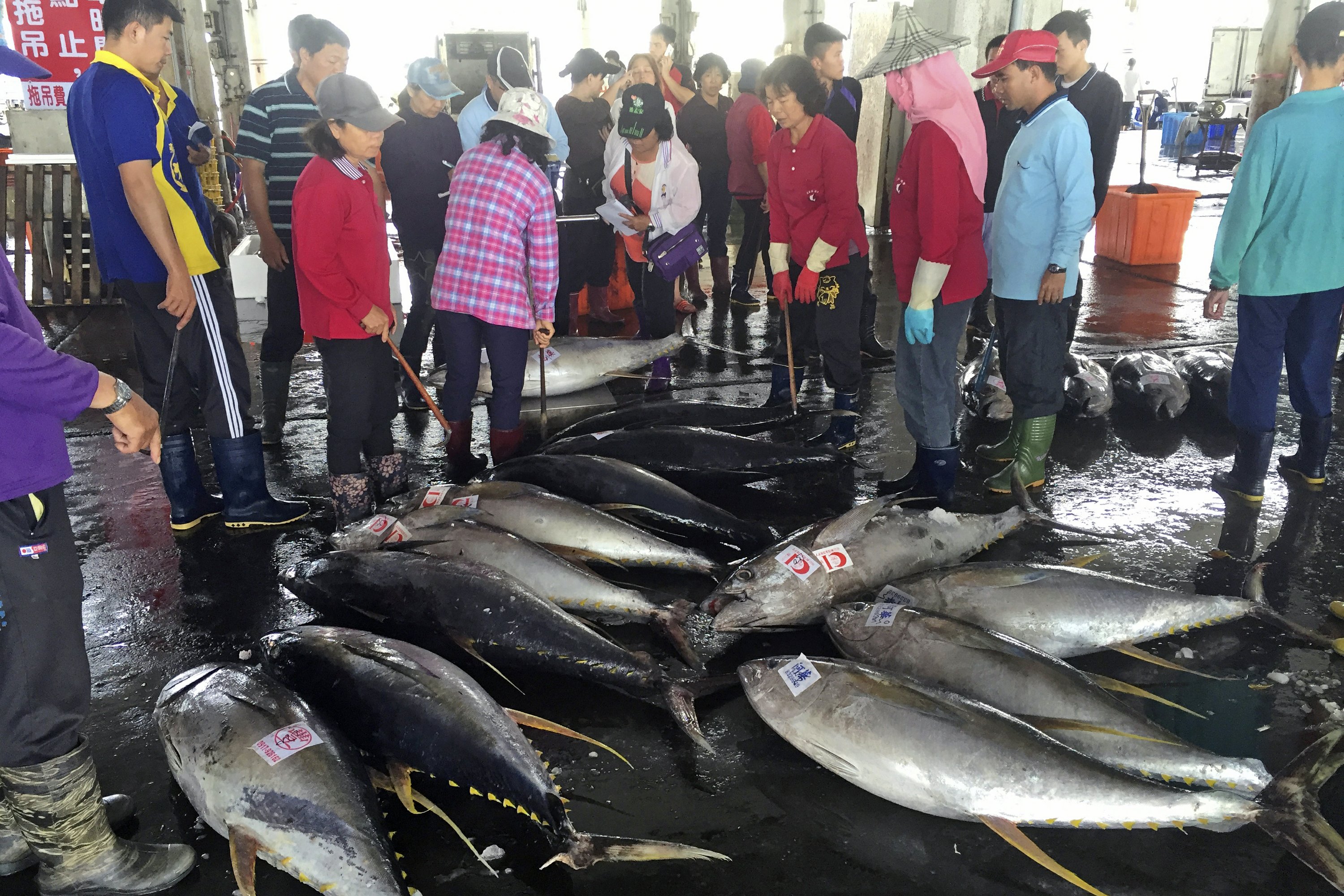 US halts imports linked to Taiwanbased fishing vessel AP News