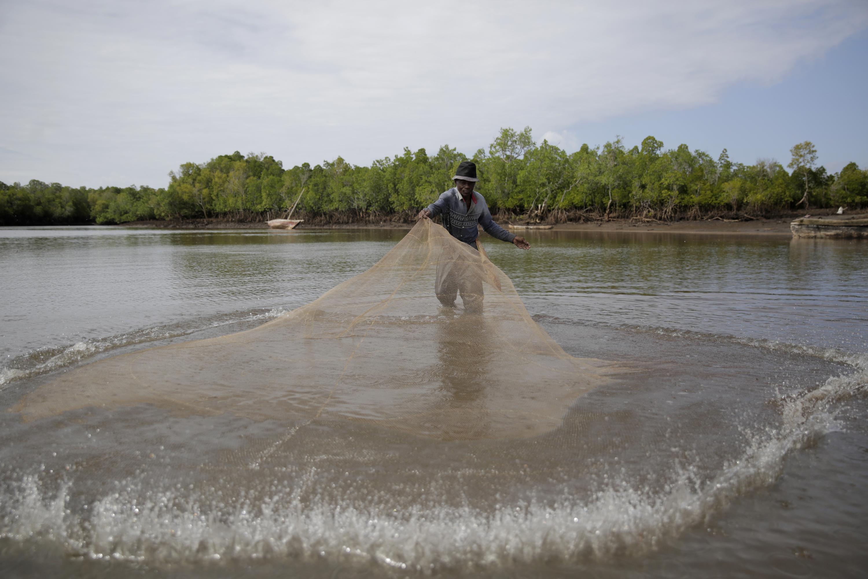 Ap Photos In Kenya Nearly A Decade Of Mangrove Restoration Ap News