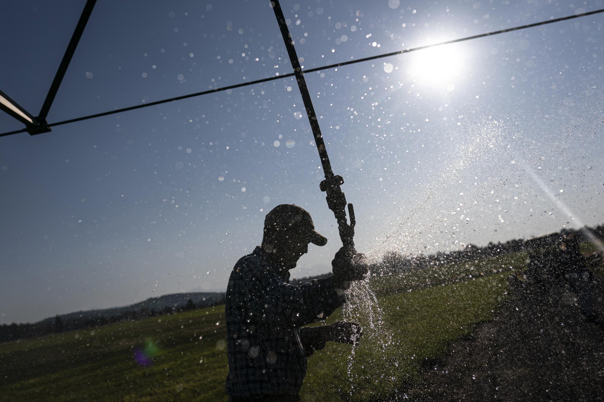 Matt Lisignoli shuts off an irrigation sprinkler at his farm, Smith Rock Ranch, in the Central Oregon Irrigation District on Tuesday, Aug. 31, 2021, in Terrebonne, Ore. The stark contrast between the water haves and have-nots two hours southeast of Portland has brought new urgency to efforts to share the resource. Proposals to create 