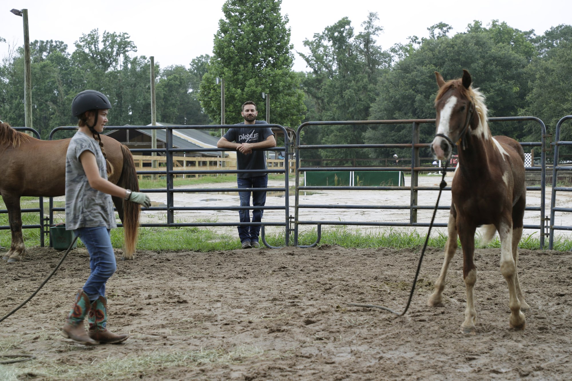 Local Teen Tasked With Taming Wild Mustang In 100 Days