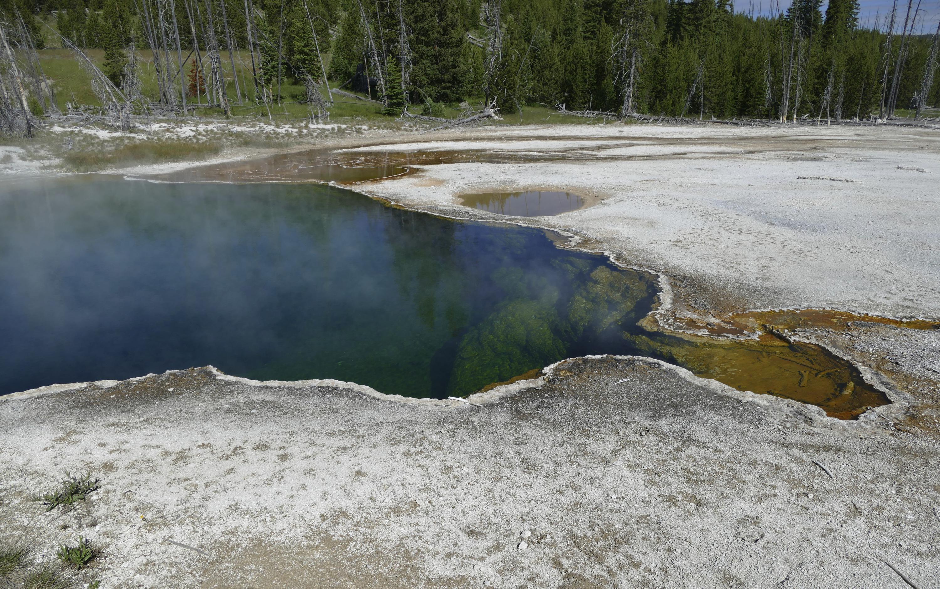 Part of a foot, in a shoe, spotted in Yellowstone hot spring