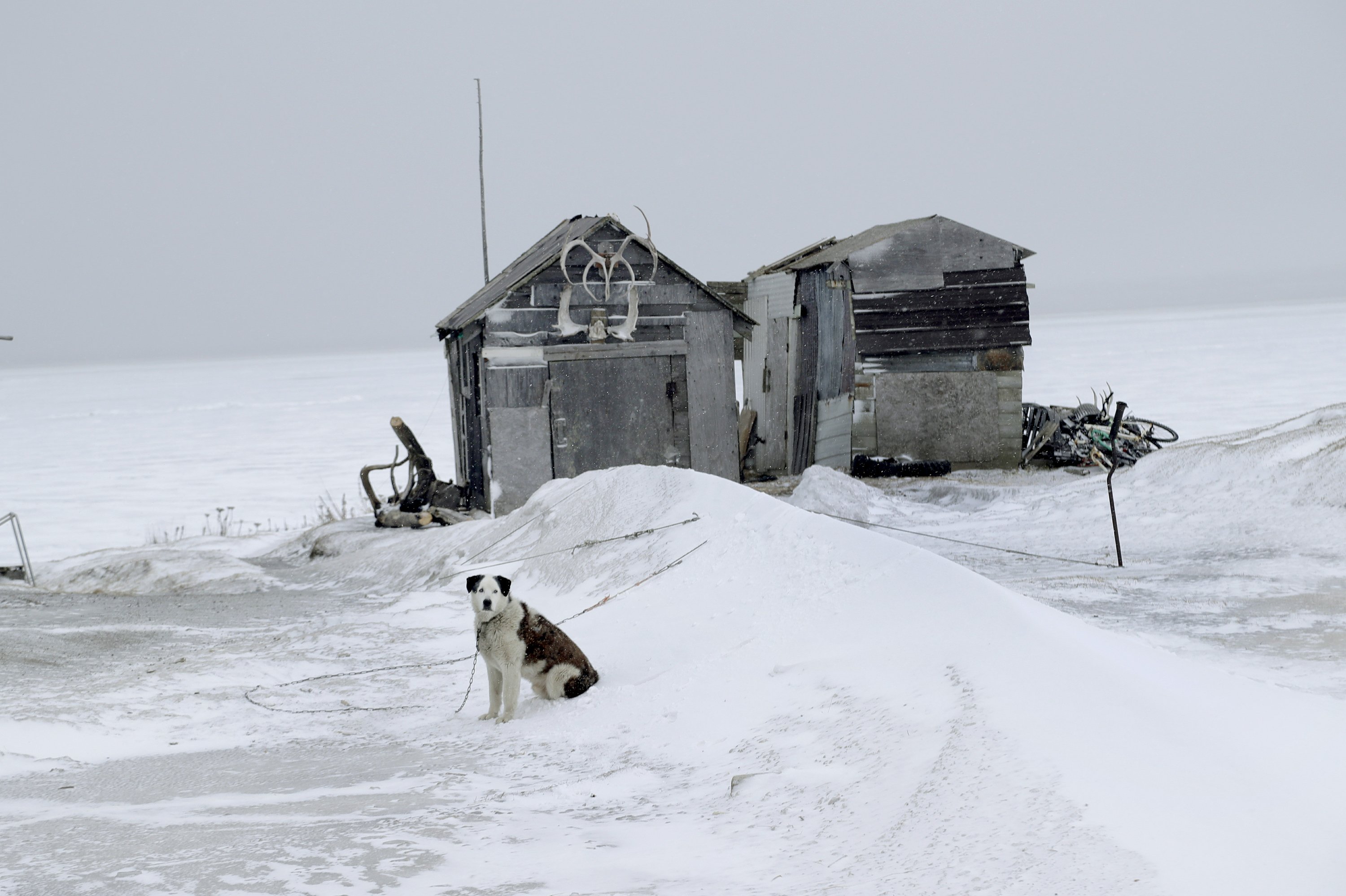 Ном аляска фото