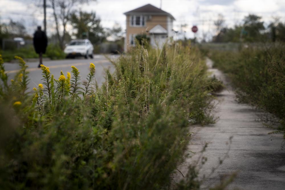 Weeds overgrow a sidewalk beside an abandoned lot 10 years after the area was severely damaged by Superstorm Sandy, Wednesday, Oct. 19, 2022, in the Edgemere neighborhood of the Queens borough of New York. Edgemere's story is one that has played out in other U.S. cities after major natural disasters. The billions of dollars in recovery money that come pouring in often come last, and have their weakest impact, in communities of color. (AP Photo/John Minchillo)