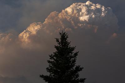 Densa columna de humo proveniente del incendio Bootleg que afecta al estado de Oregon, el 12 de julio de 2021. (AP Foto/Nathan Howard)