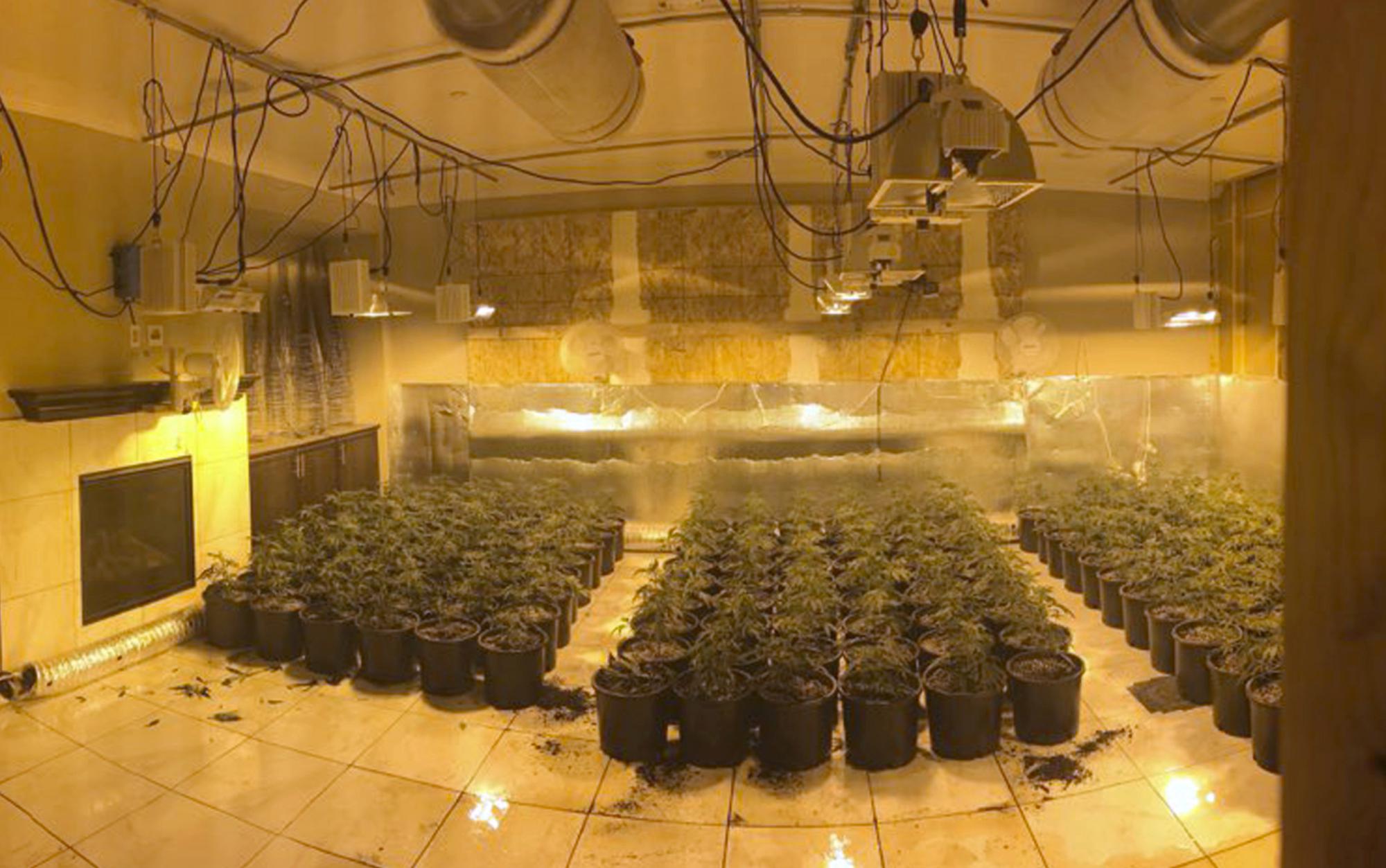 Image of post: Lawsuit: California utility targeted Asians in pot searches