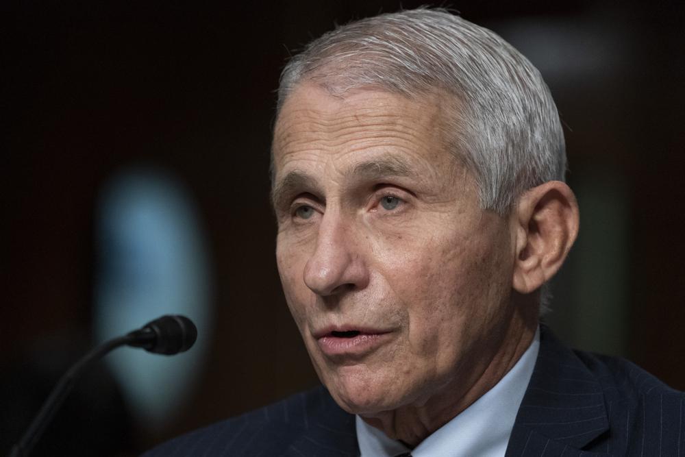 Fauci to step down after decades as top US infection expert