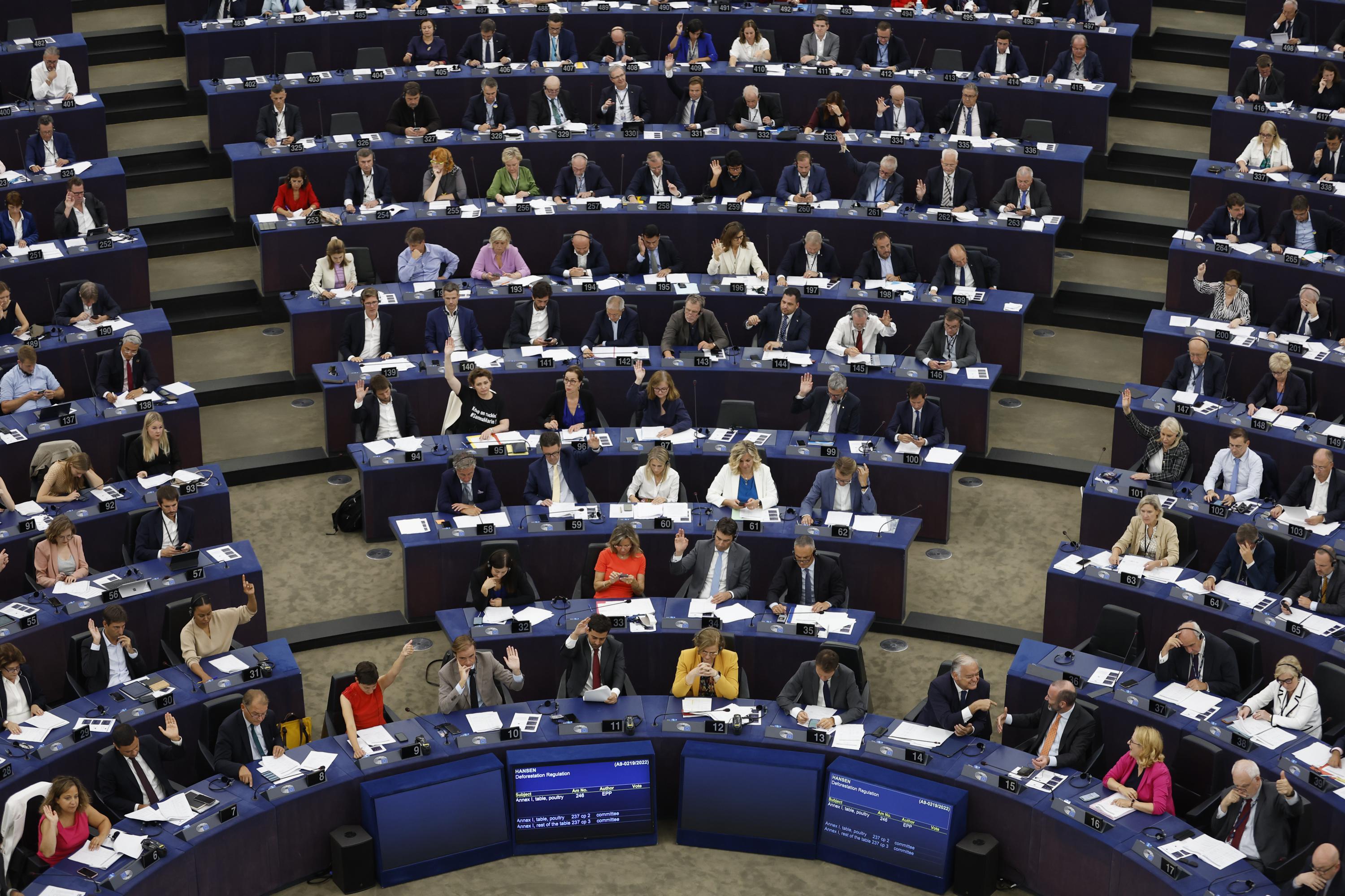 EU Lawmakers Support Ban Of Goods Linked To Deforestation AP News