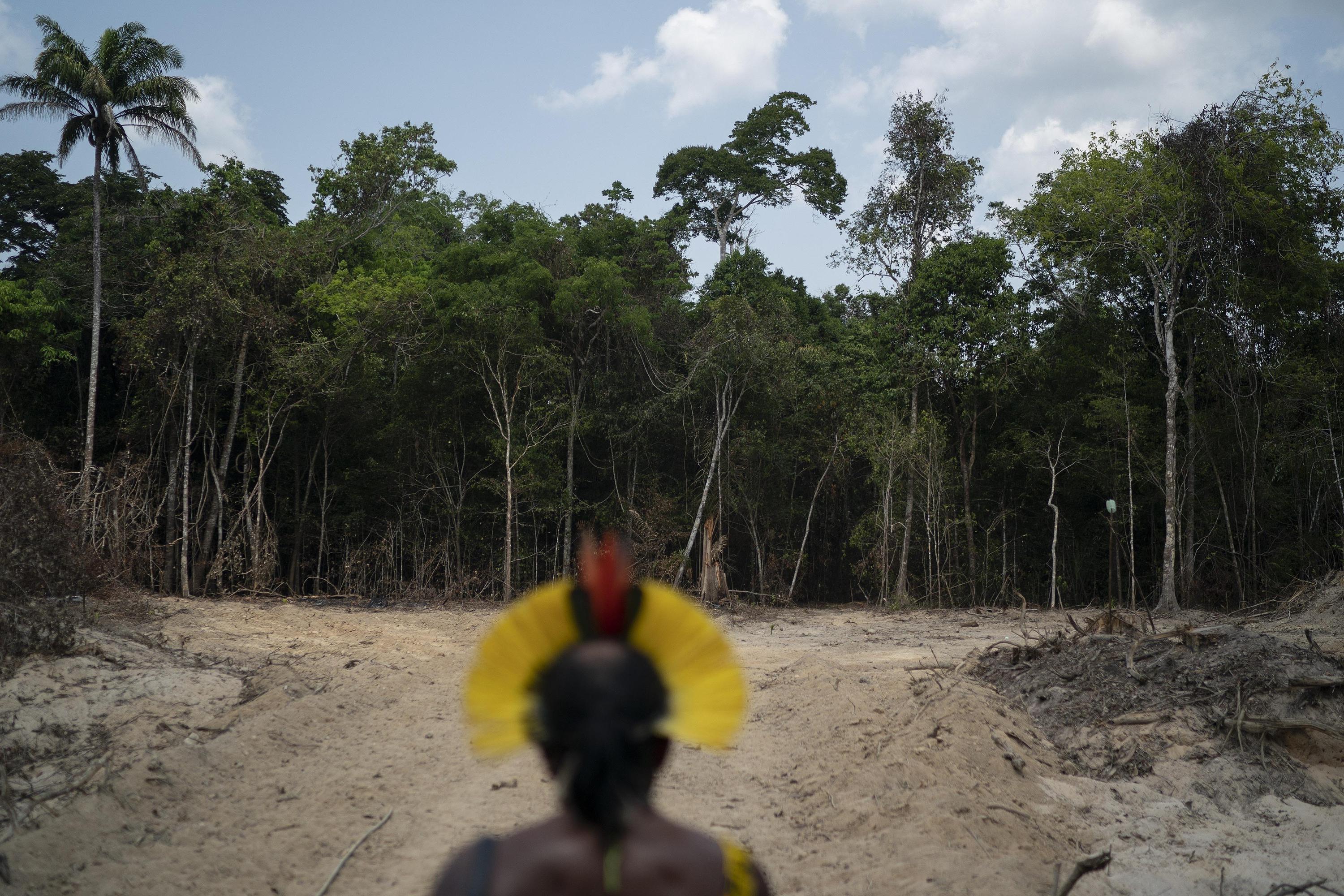 Brazils Amazon Deforestation Hits Record For Month Of April Ap News 6832