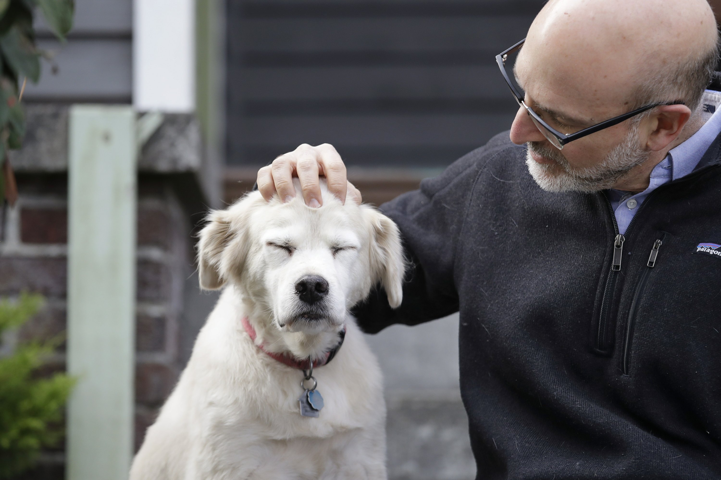 old-dogs-new-tricks-10-000-pets-needed-for-science