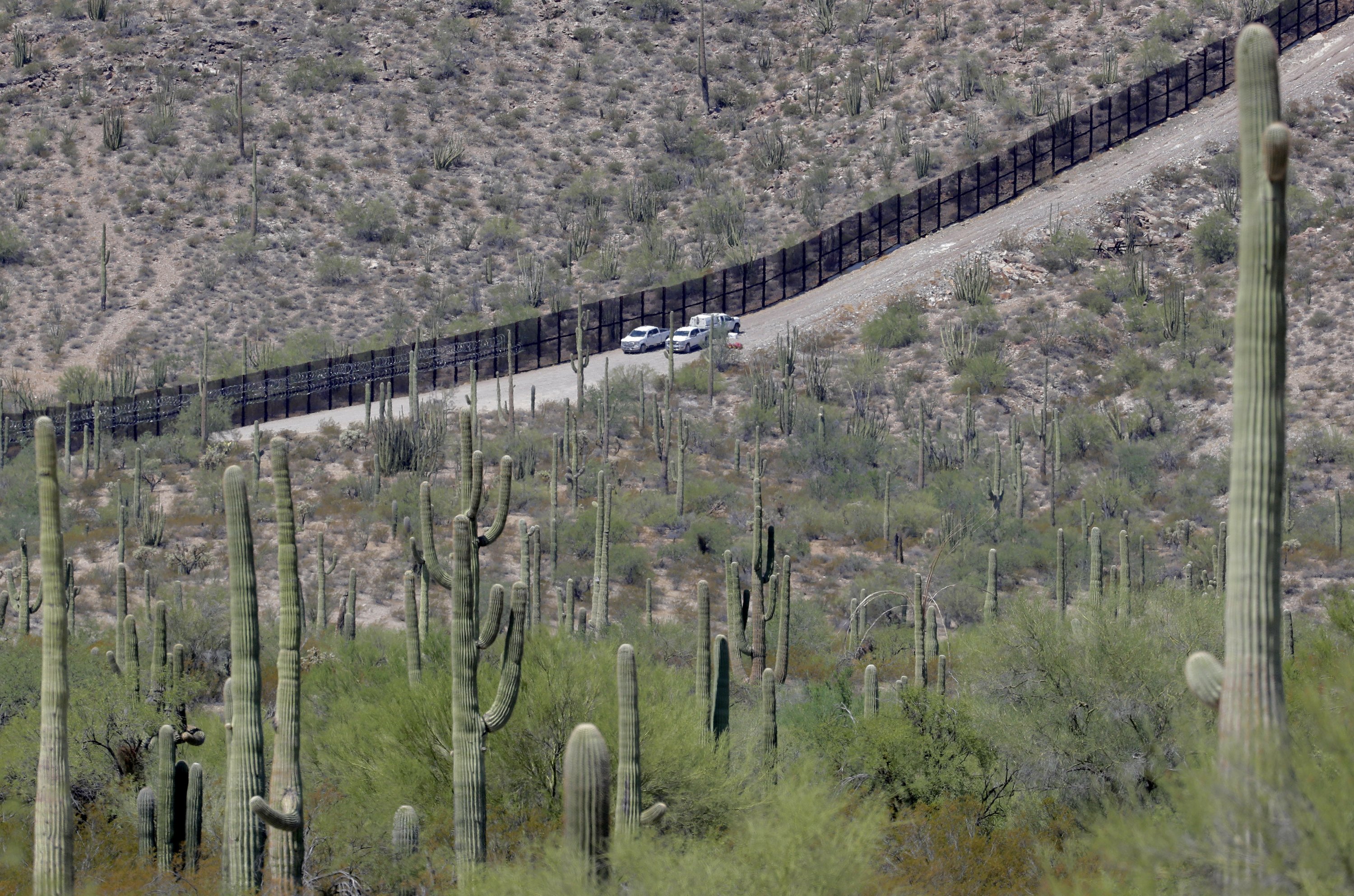 Arizona border deaths hit 10year high after record heat