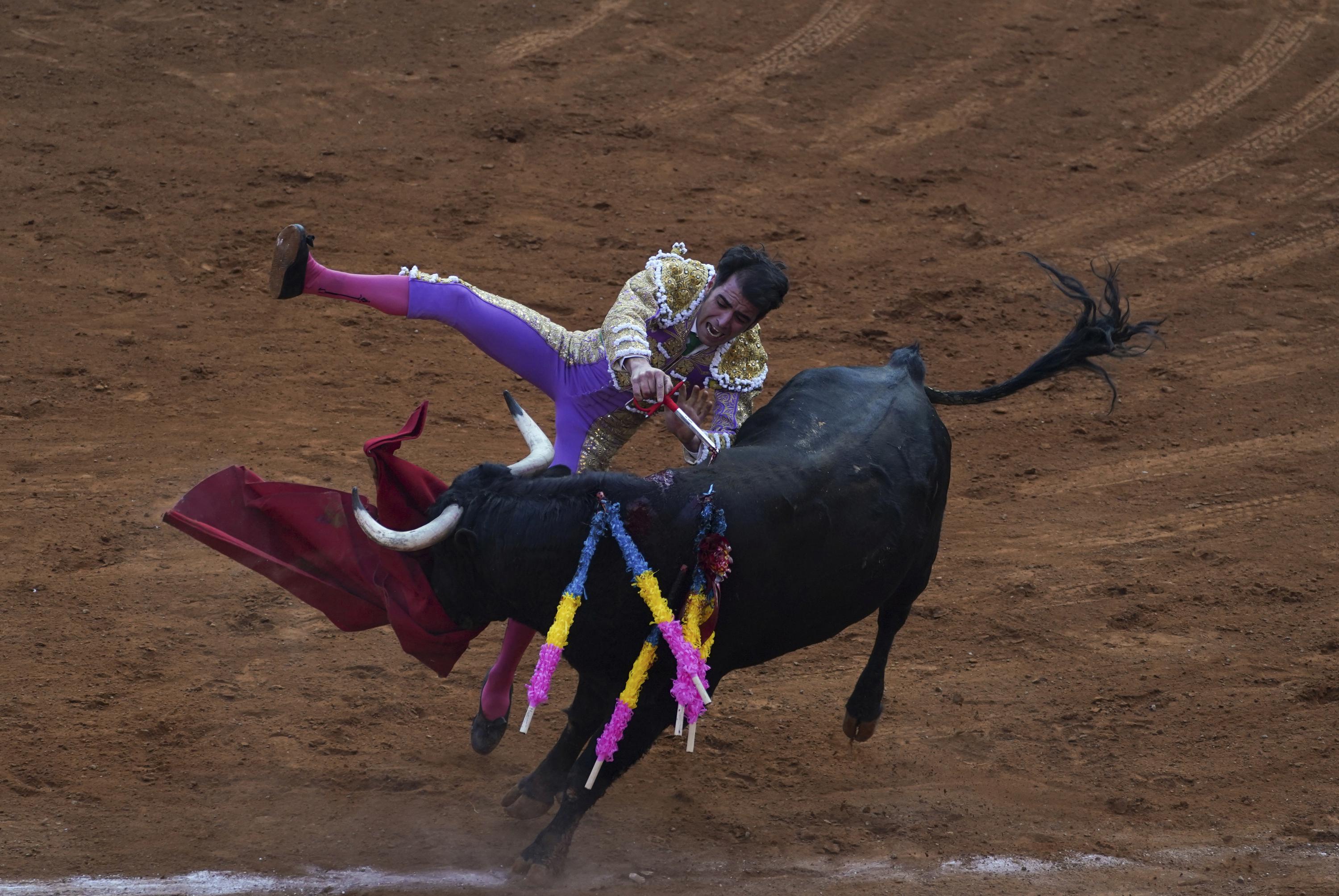 Mexico City legislature may ban bullfighting AP News