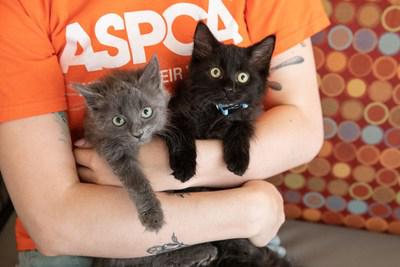 Aspca Launches National Adoption Weekend Campaign From June 5 7 To Encourage Virtual Animal Adoptions During Covid 19 Crisis