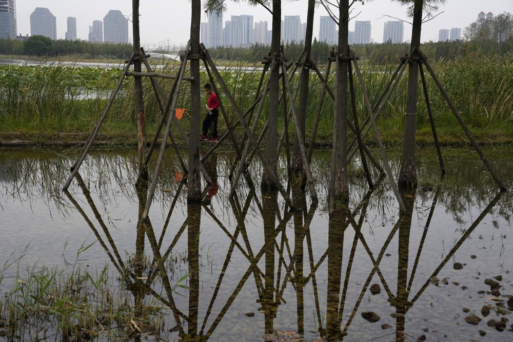 Un niño busca peces con una red mientras camina junto a un estanque y plantas acuáticas en el parque Cola de Pez, construido en un antiguo vertedero de carbón en Nanchang, en la provincia norcentral china de Jiangxi, el sábado 29 de octubre de 2022. (AP Foto/Ng Han Guan)