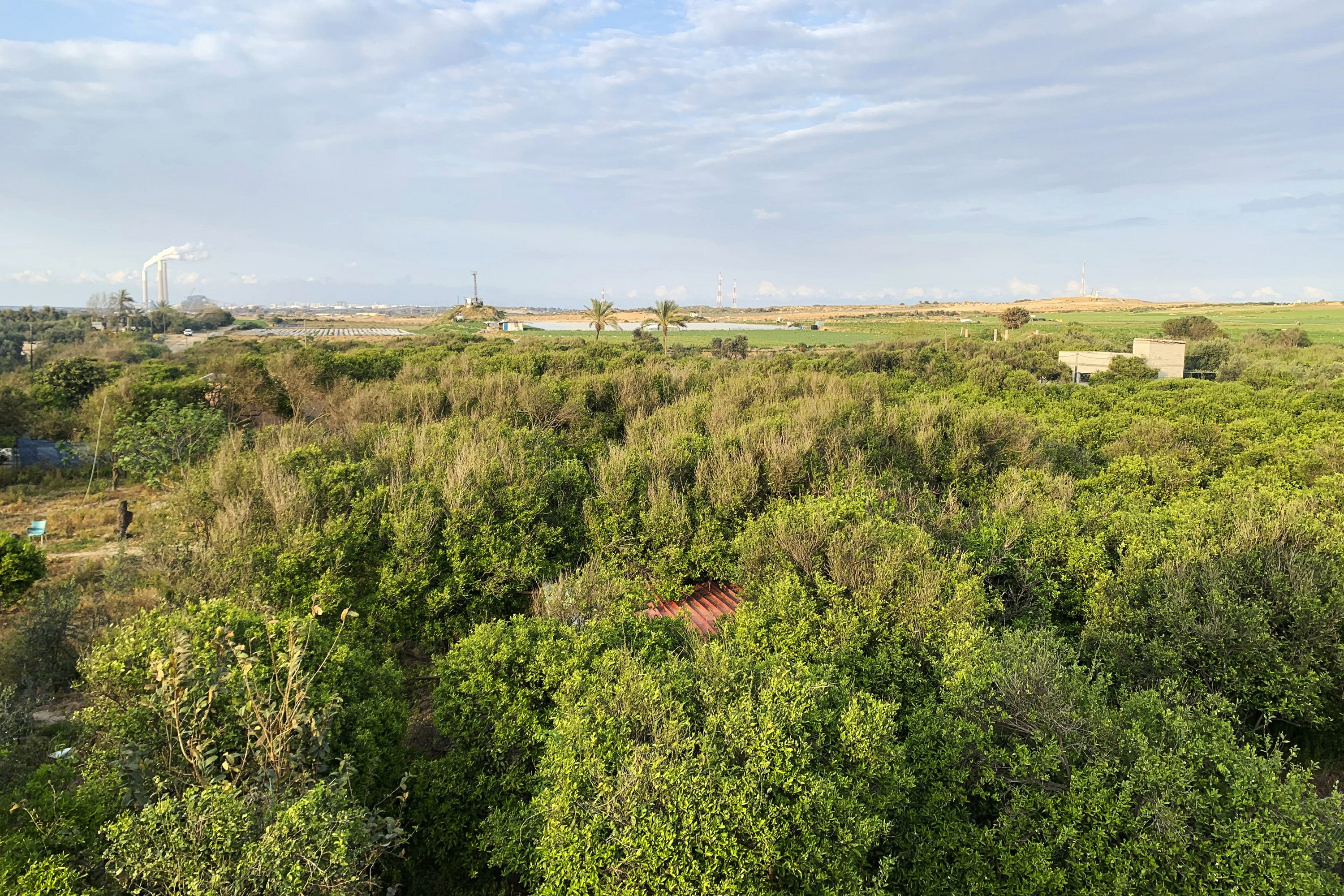 VIRUS DIARY Isolation And Patience On A Quiet Gaza Farm AP News