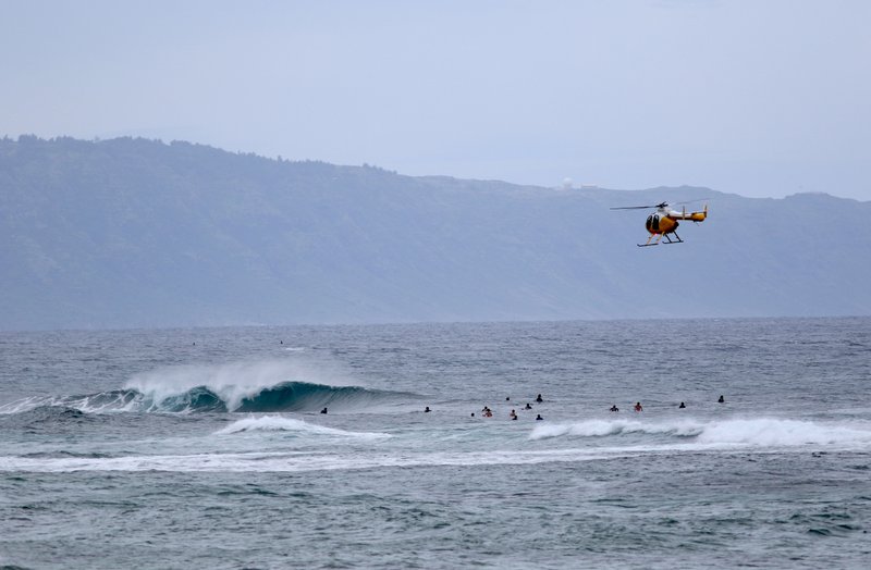 Volunteer Sleuths Track Down Hawaii S Quarantine Scofflaws