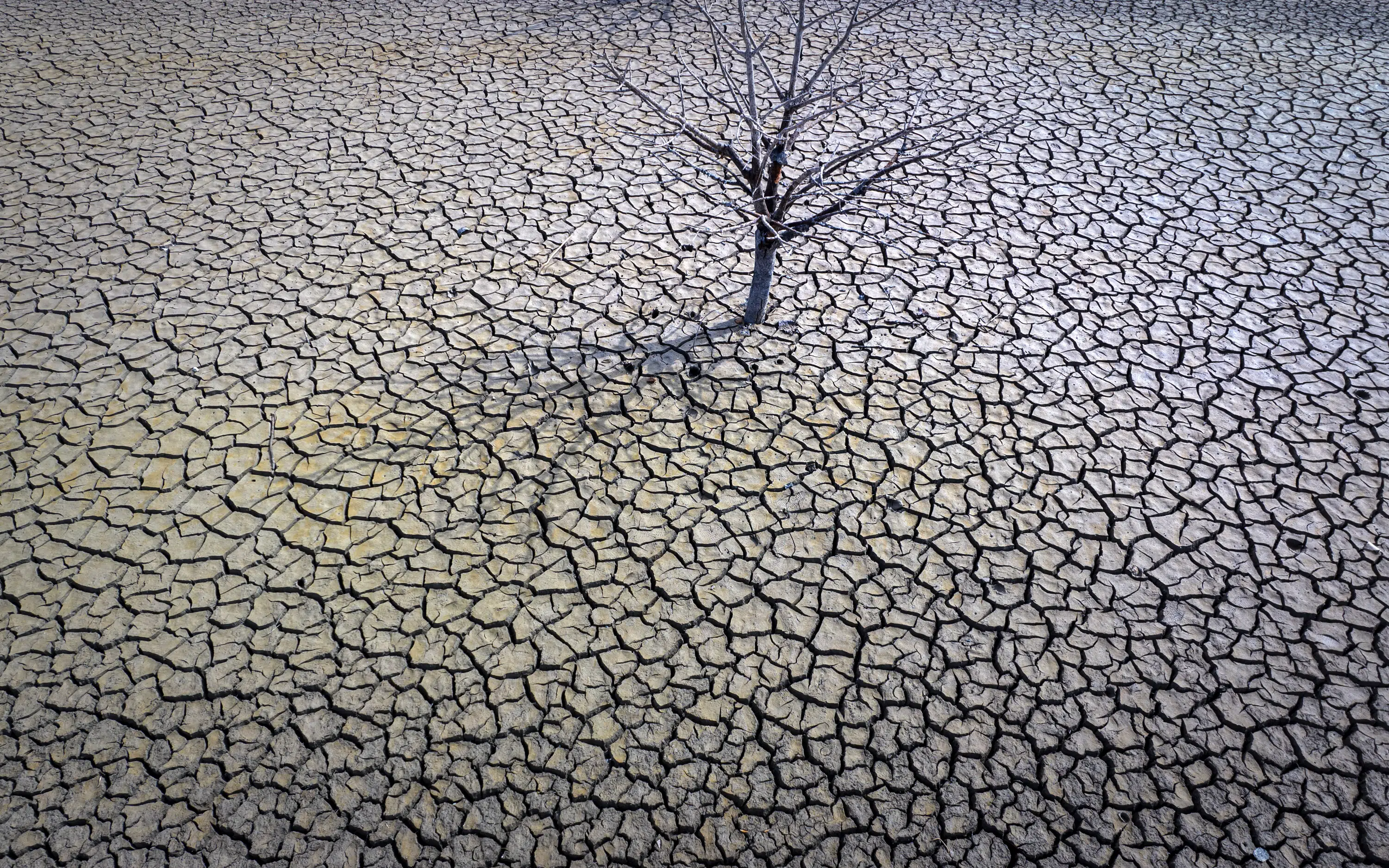 La sequía provocará malas cosechas en España, advierten los agricultores