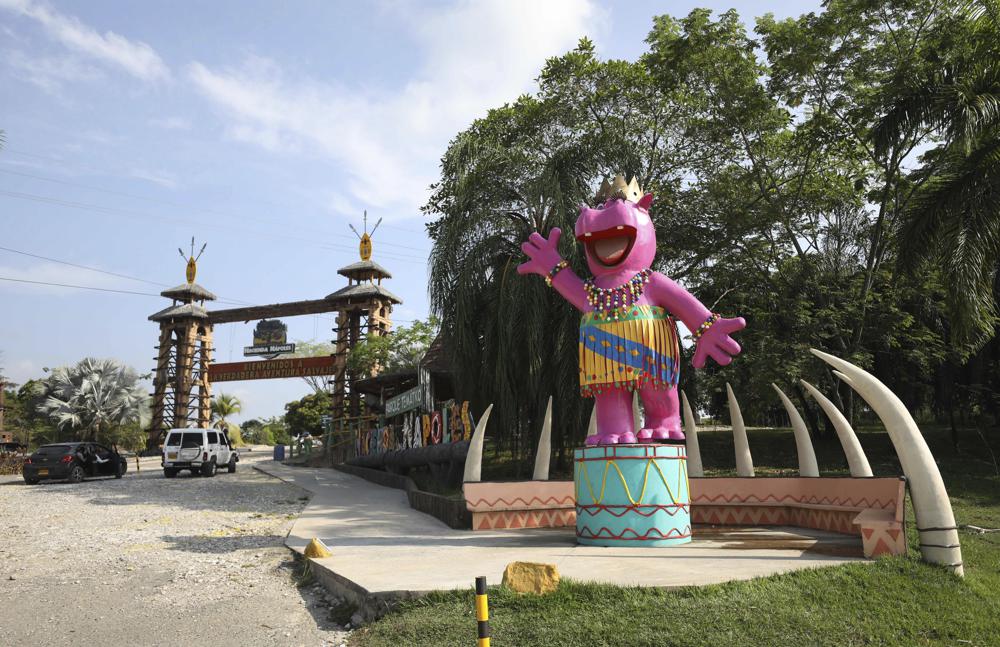 FILE—In this file photo from Feb. 4, 2021, a pink statue of a hippo greets tourists at Hacienda Napoles Park in Puerto Triunfo, Colombia. Hacienda Napoles was once a private zoo with illegally imported animals that belonged to drug trafficker Pablo Escobar. A U.S. court order says the offspring of hippos once owned by  Escobar can be recognized as people with legal rights in the U.S. The case involves a lawsuit against the Colombian government over whether to kill or sterilize the hippos whose numbers are growing at a fast pace. (AP Photo/Fernando Vergara, File)