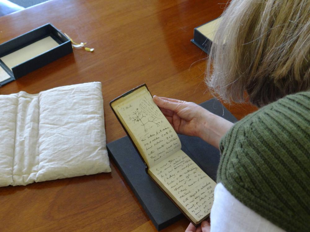 Los cuadernos de Darwin volvieron a la Cambridge University Library. | FOTO: AP