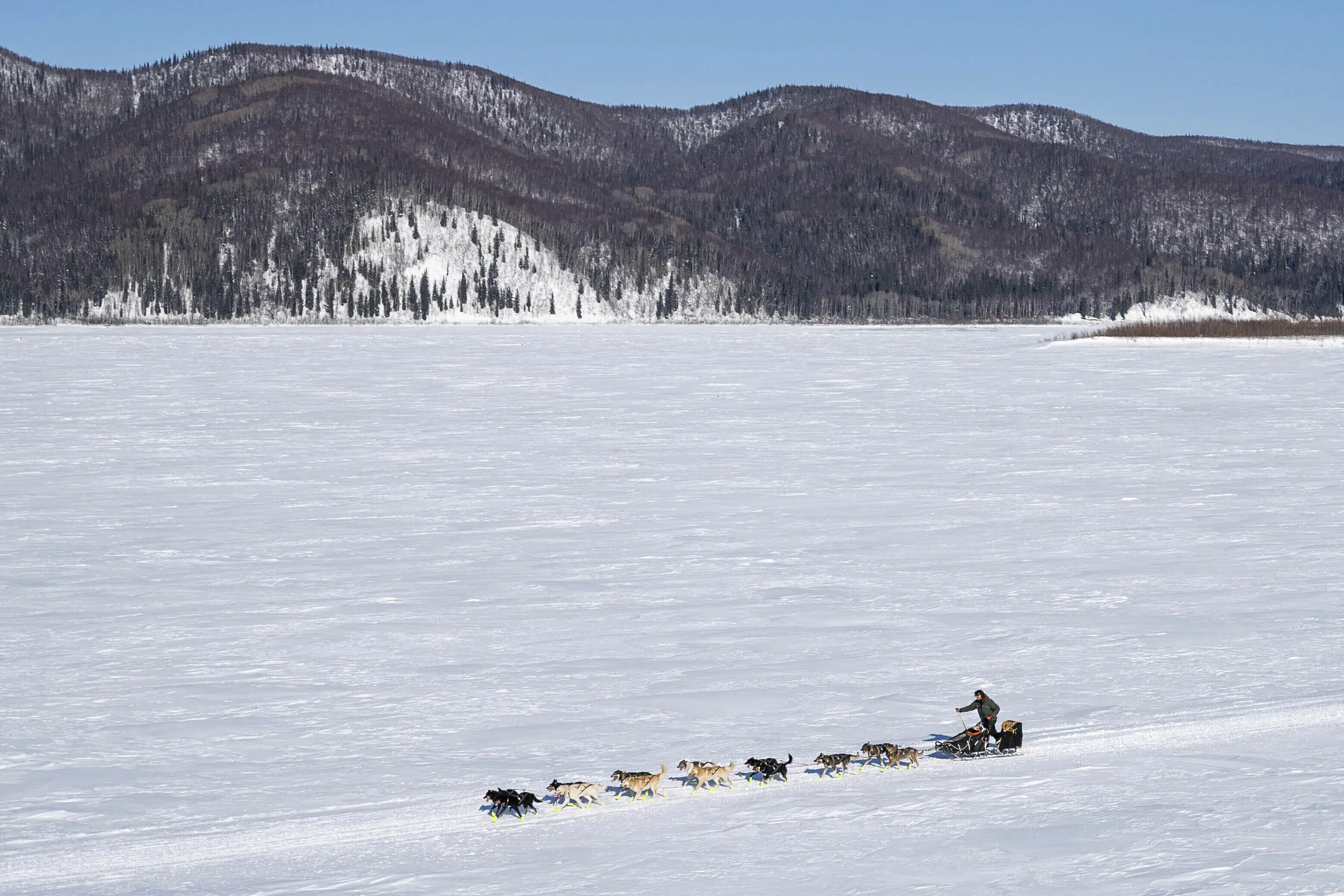 “A little scary:” Iditarod begins with smallest field ever