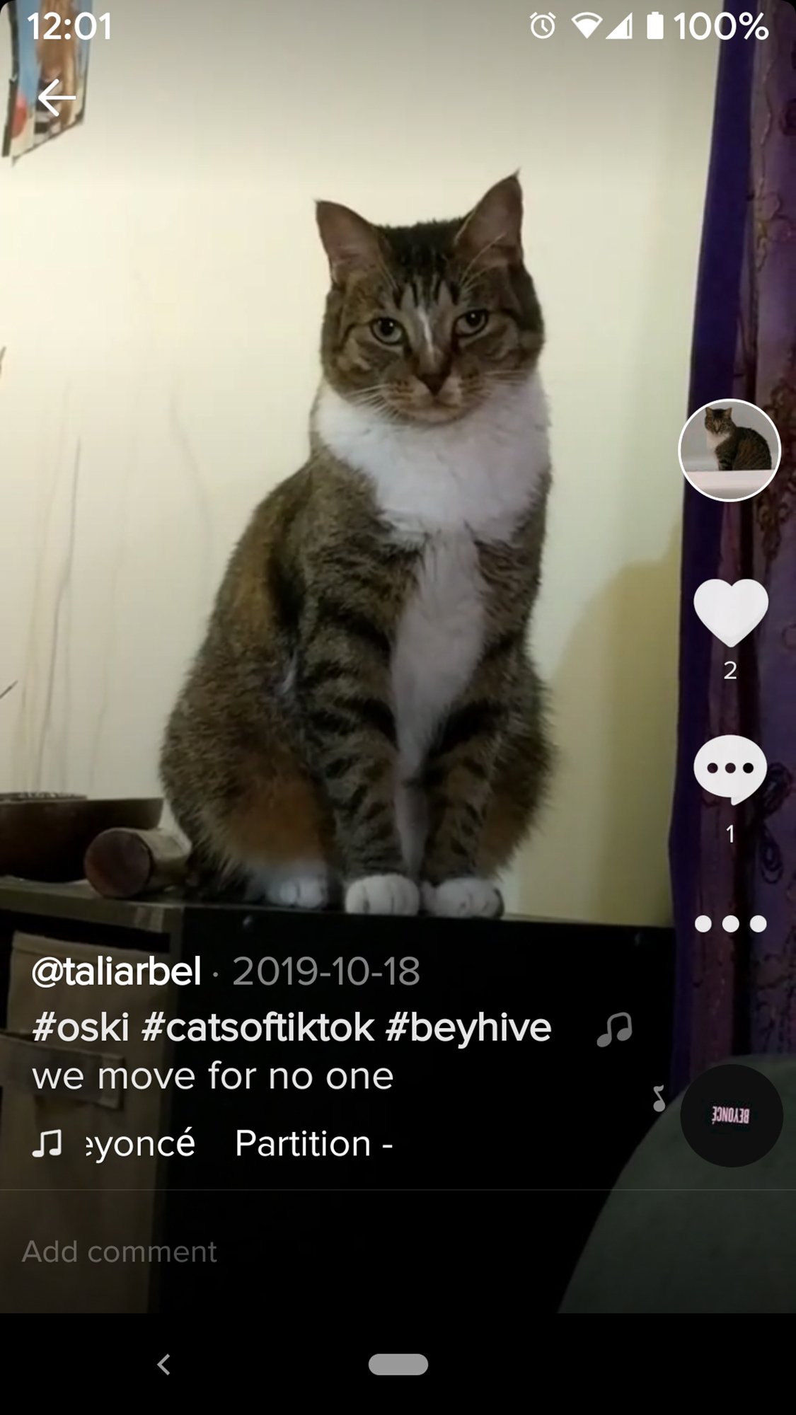 can you get ip banned for star pets｜TikTok Search