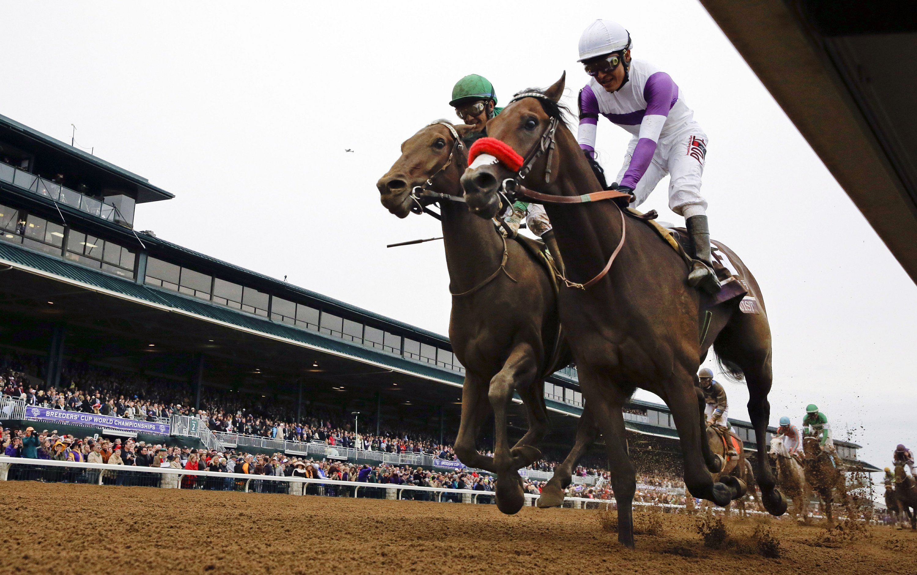 Breeders' Cup to race without fans; Keeneland hosts in 2022