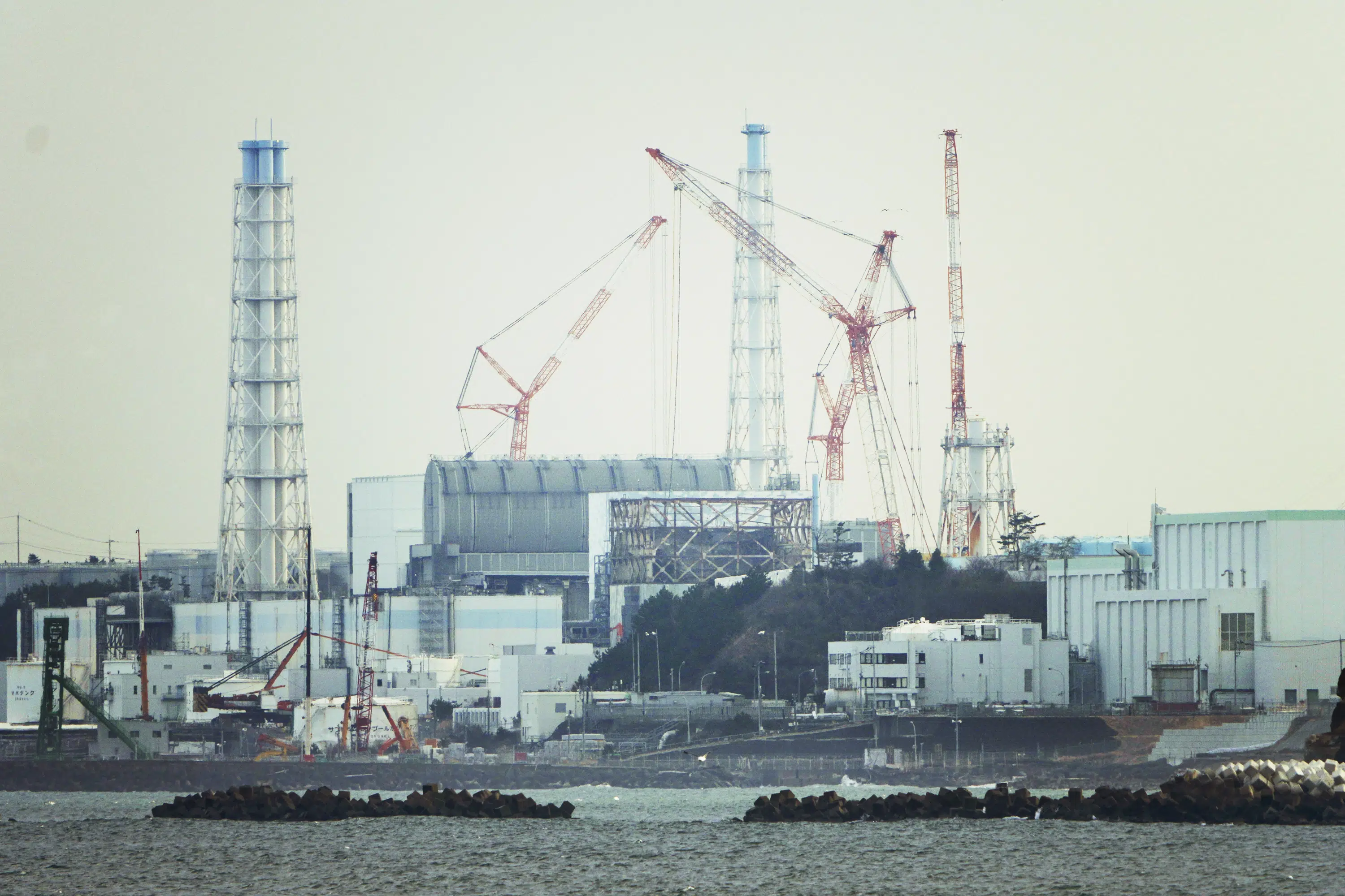 日本の原子力監視機関は福島原発運営者に原子炉損傷のリスクを評価するよう要請した