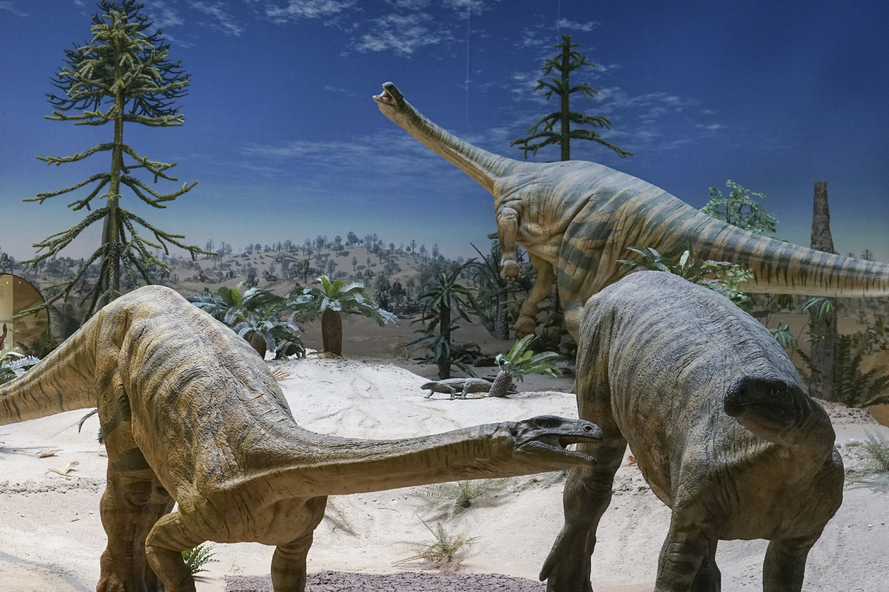 Some dinosaur migrations have been delayed by the climate, the study shows