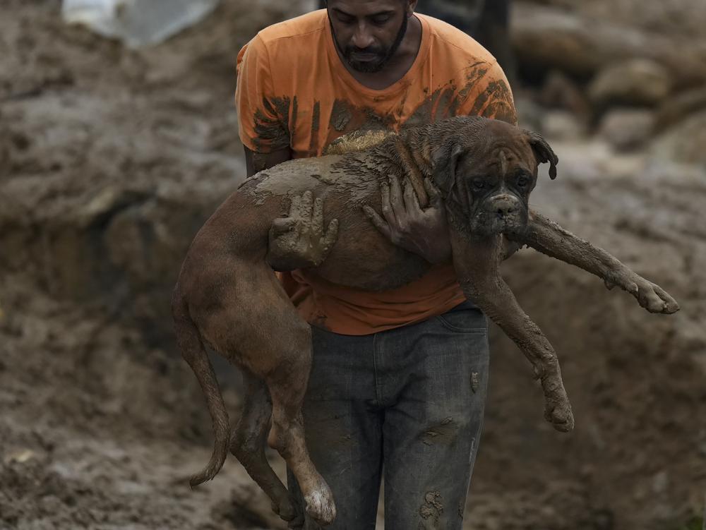 Un hombre rescata a un perro de una zona arrasada por deslizamientos de tierra provocados por lluvias extremadamente intensas en Petrópolis, Brasil, el miércoles 16 de febrero de 2022. (Foto AP/Silvia Izquierdo)