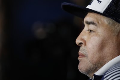 29+ Maradona 2020 Net Worth Pictures