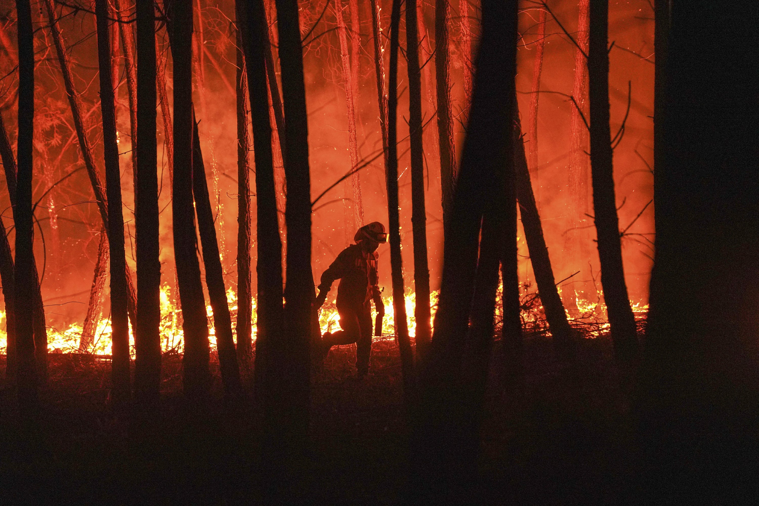 how to avoid a climate disaster reviews how to avoid a climate disaster reviews