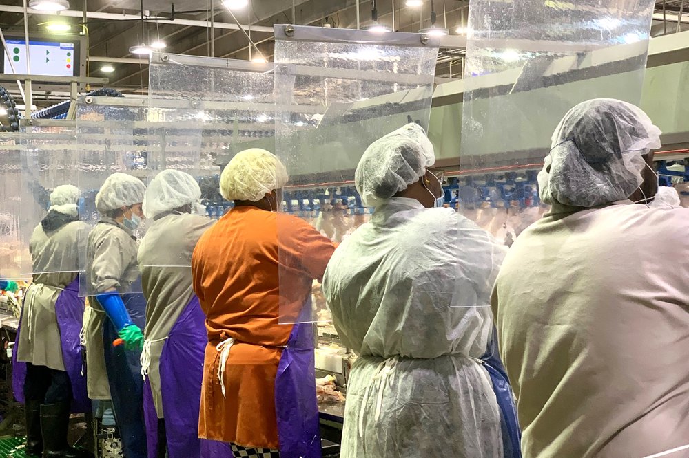 Trabajadores de una planta de procesamiento de carne Tyson Foods en Georgia usando medidas de protección y prevención contra el coronavirus