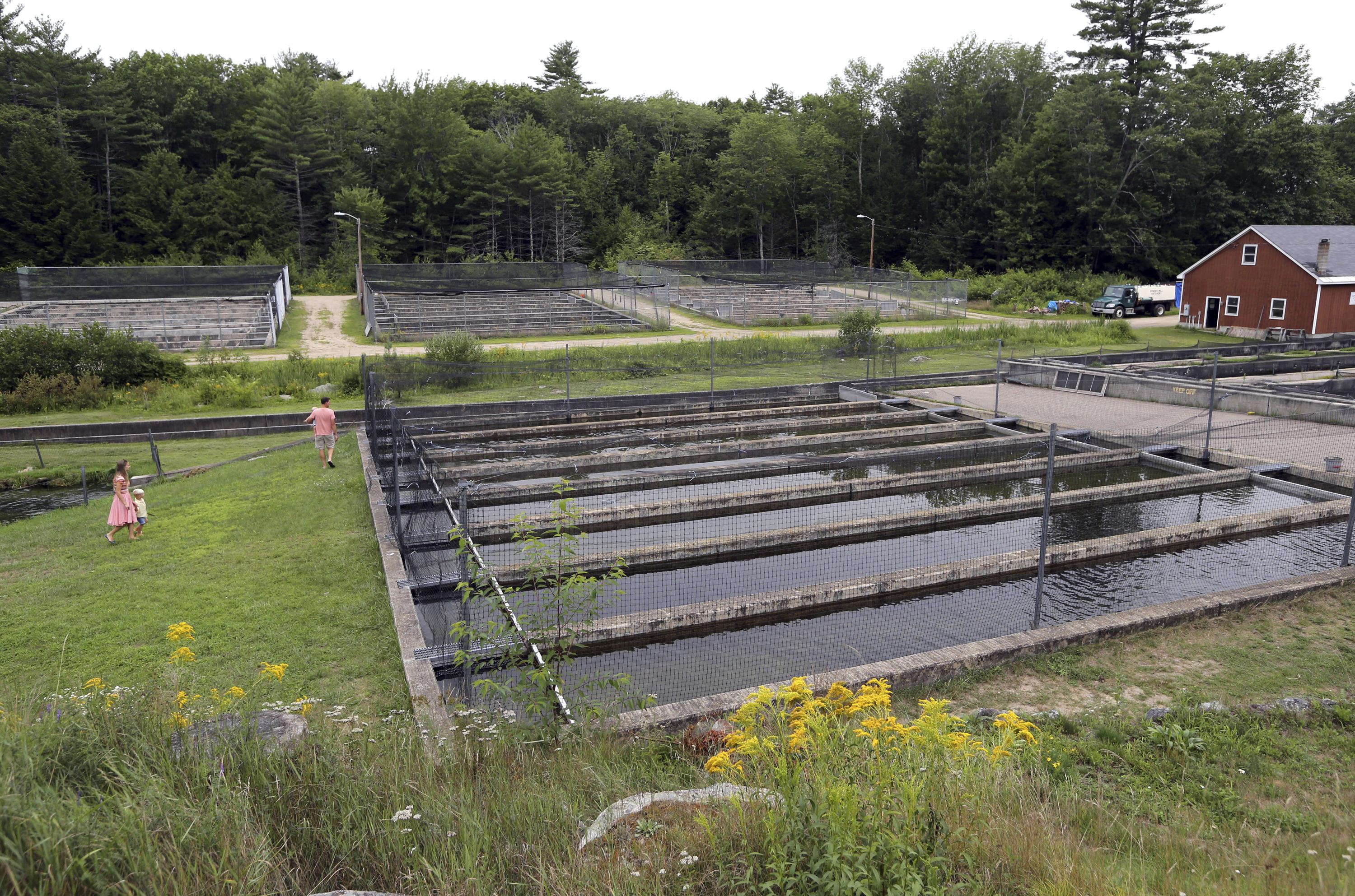 State agrees to upgrade fish hatchery over pollution fears