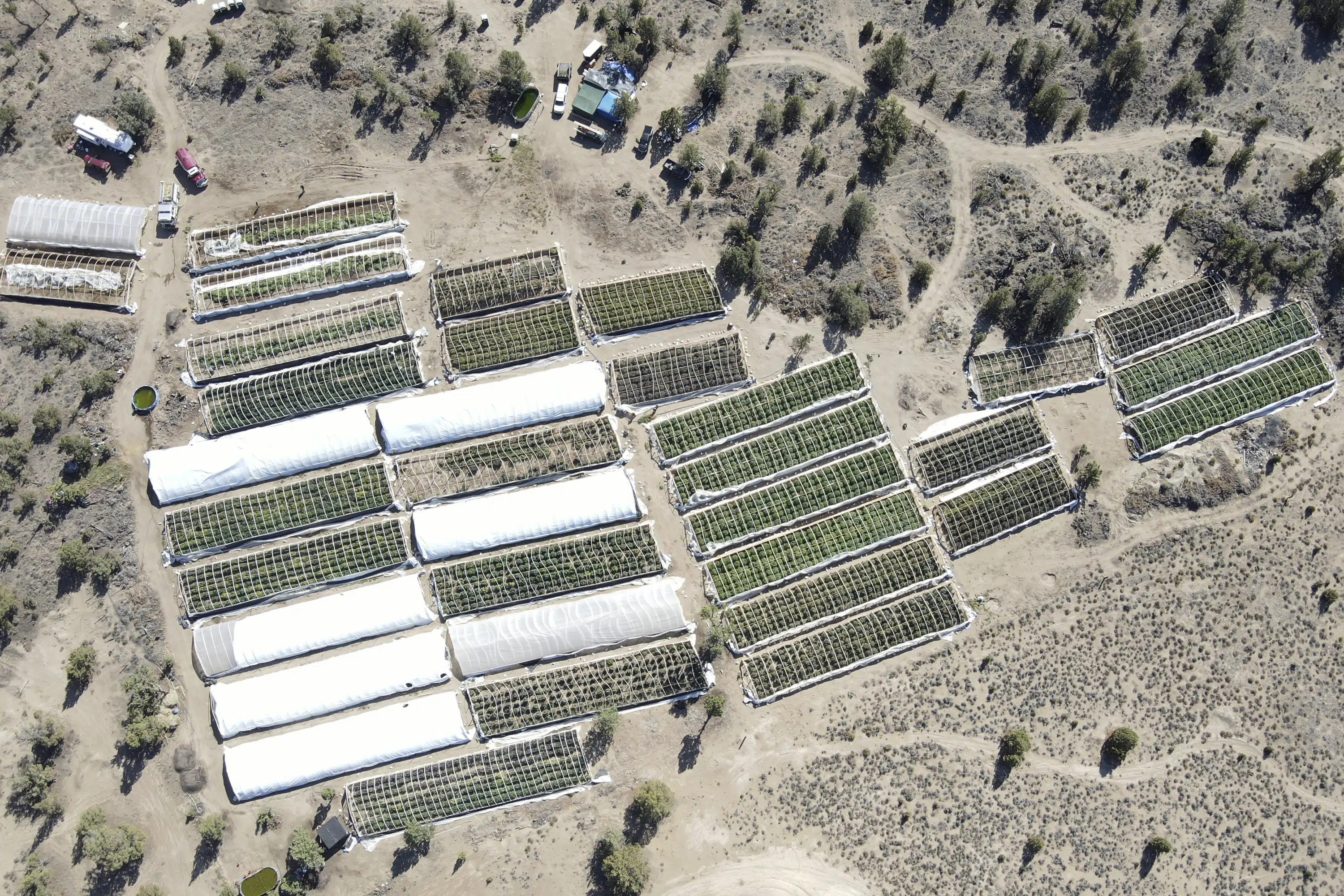 Oregon, mecca of weed, to crack down on illegal pot growers by holding landowners responsible - Vimarsana News