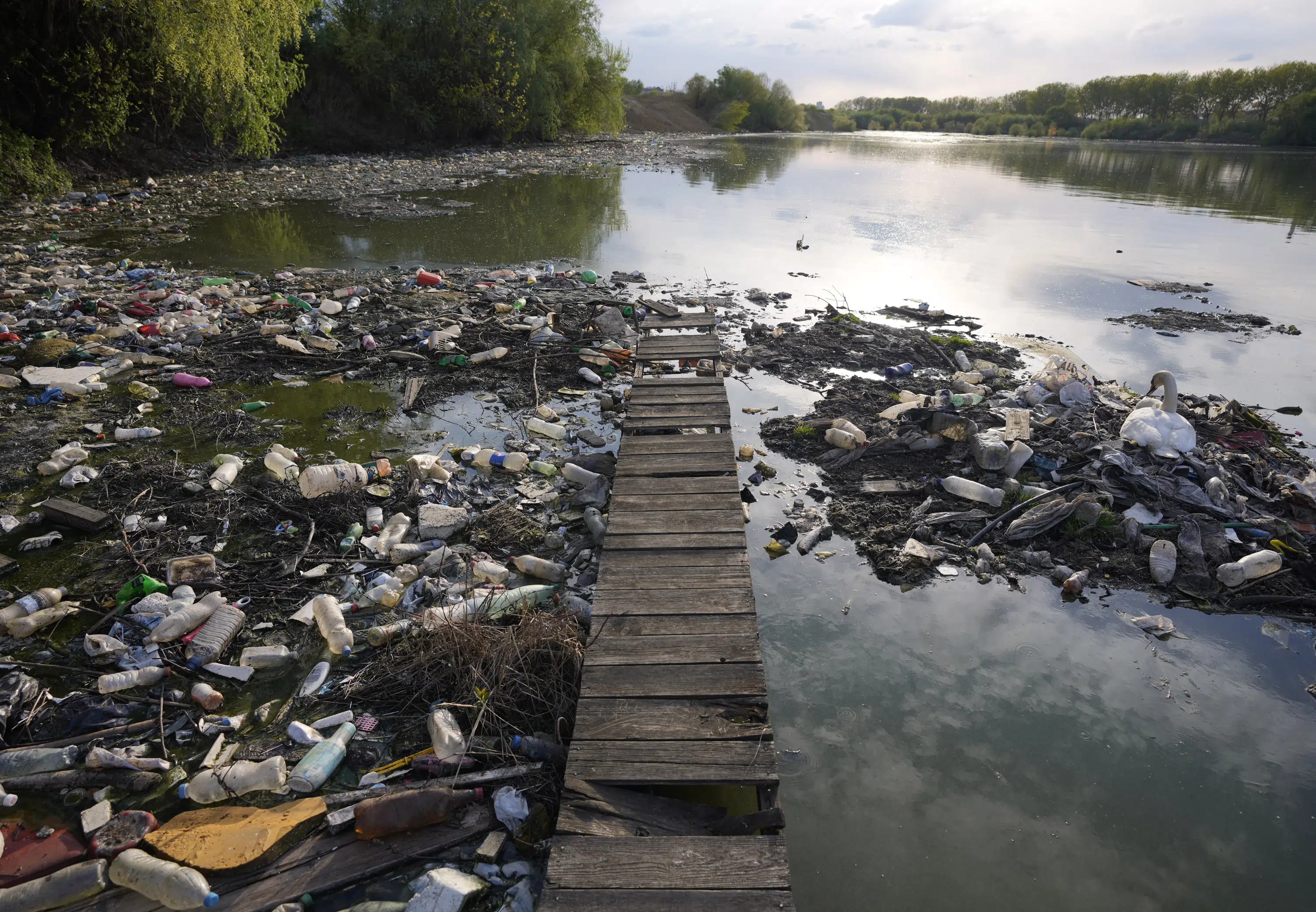 Earth is 'really quite sick now' and in danger zone in nearly all ecological ways, study says - The Associated Press