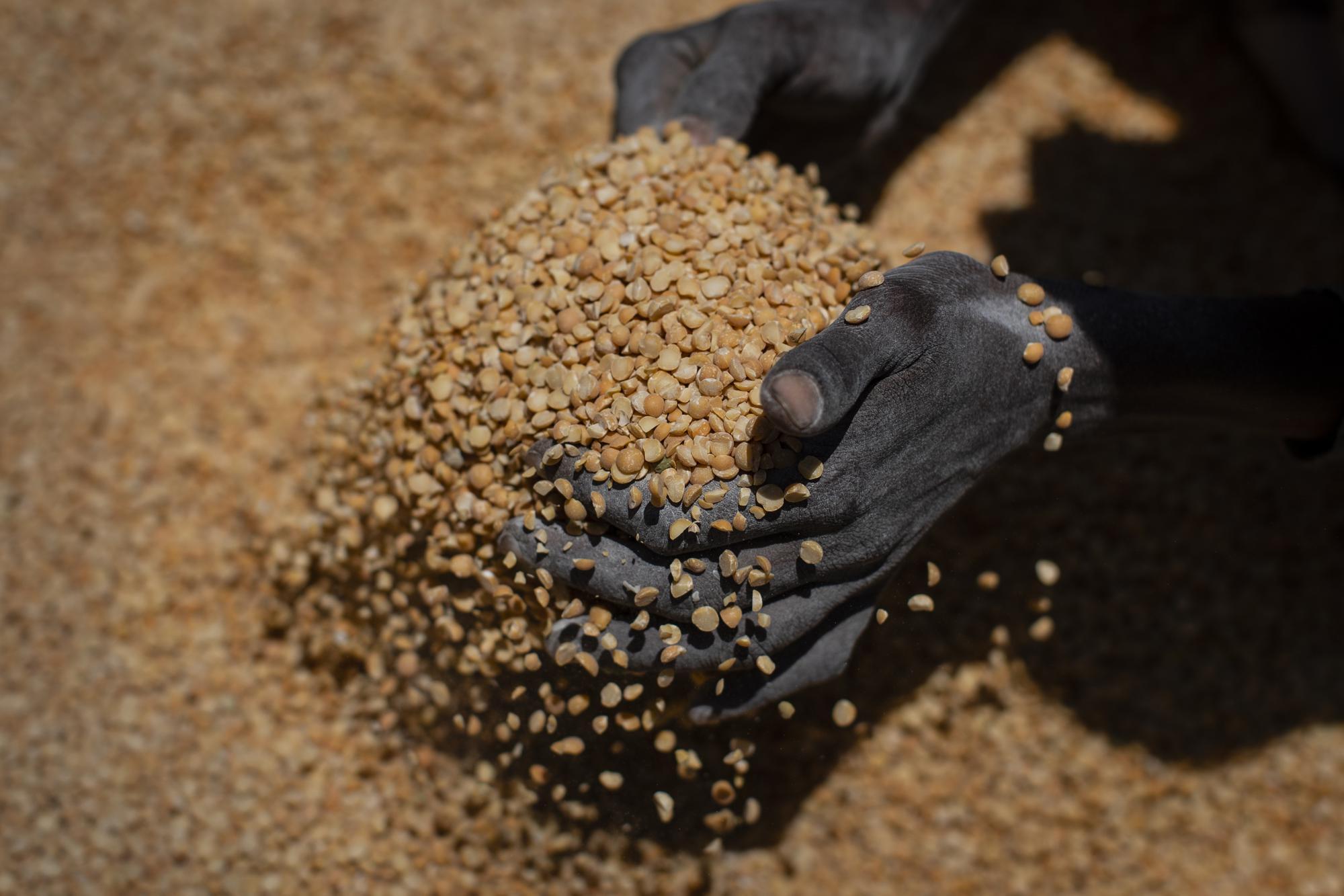 An Ethiopian woman scoops up portions of yellow split peas to be allocated to waiting families after it was distributed by the Relief Society of Tigray in the town of Agula, in the Tigray region of northern Ethiopia, on Saturday, May 8, 2021. The war in Tigray has spawned massacres, gang rapes and the widespread expulsion of people from their homes, and the United States has declared “ethnic cleansing” in western Tigray. Now, on top of those atrocities, Tigrayans face another urgent problem: hunger and starvation. (AP Photo/Ben Curtis)