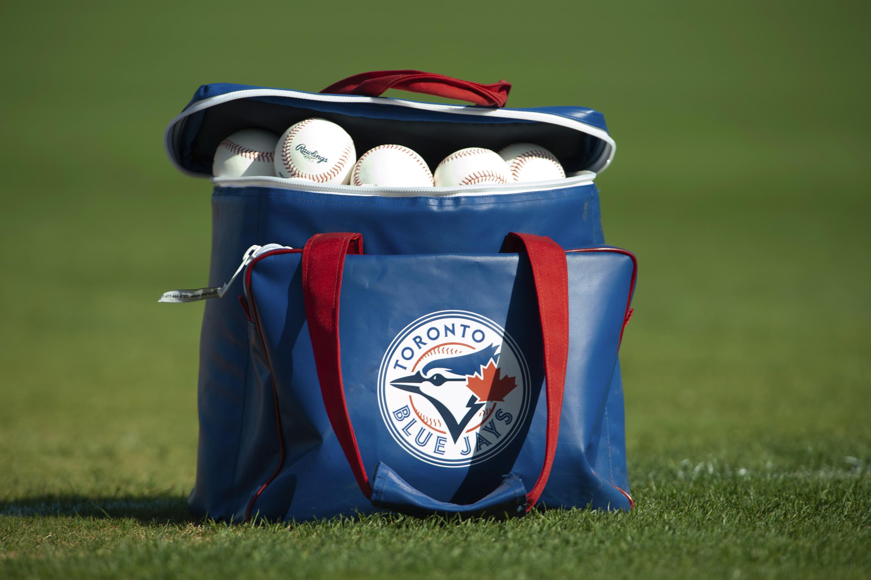 MLB Golf Bags