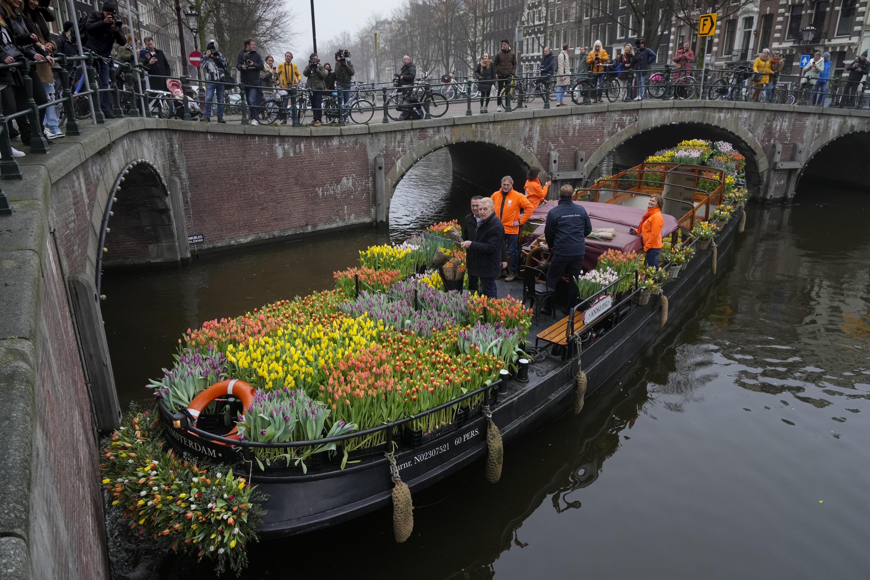 Where to See Thousands and Thousands of Tulips, Travel