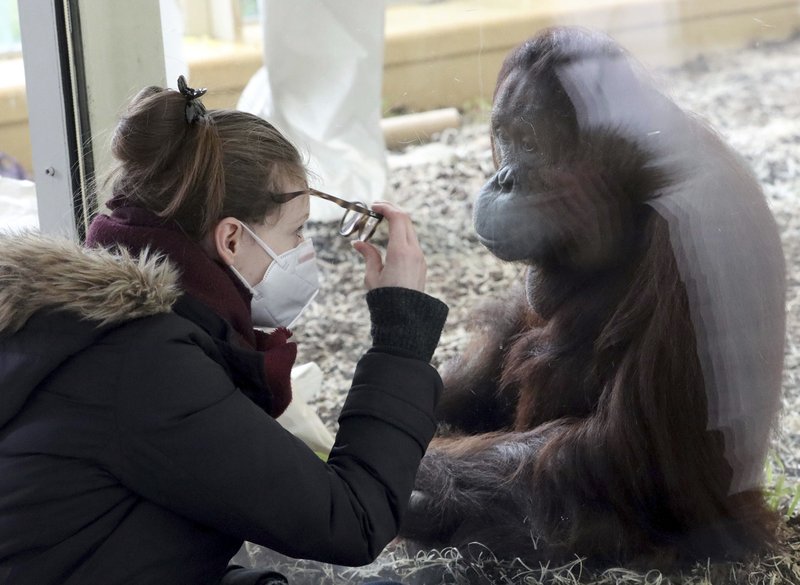 Philadelphia Zoo could soon be vaccinating animals against COVID-19 Philadelphia Zoo could soon be vaccinating animals against COVID-19
