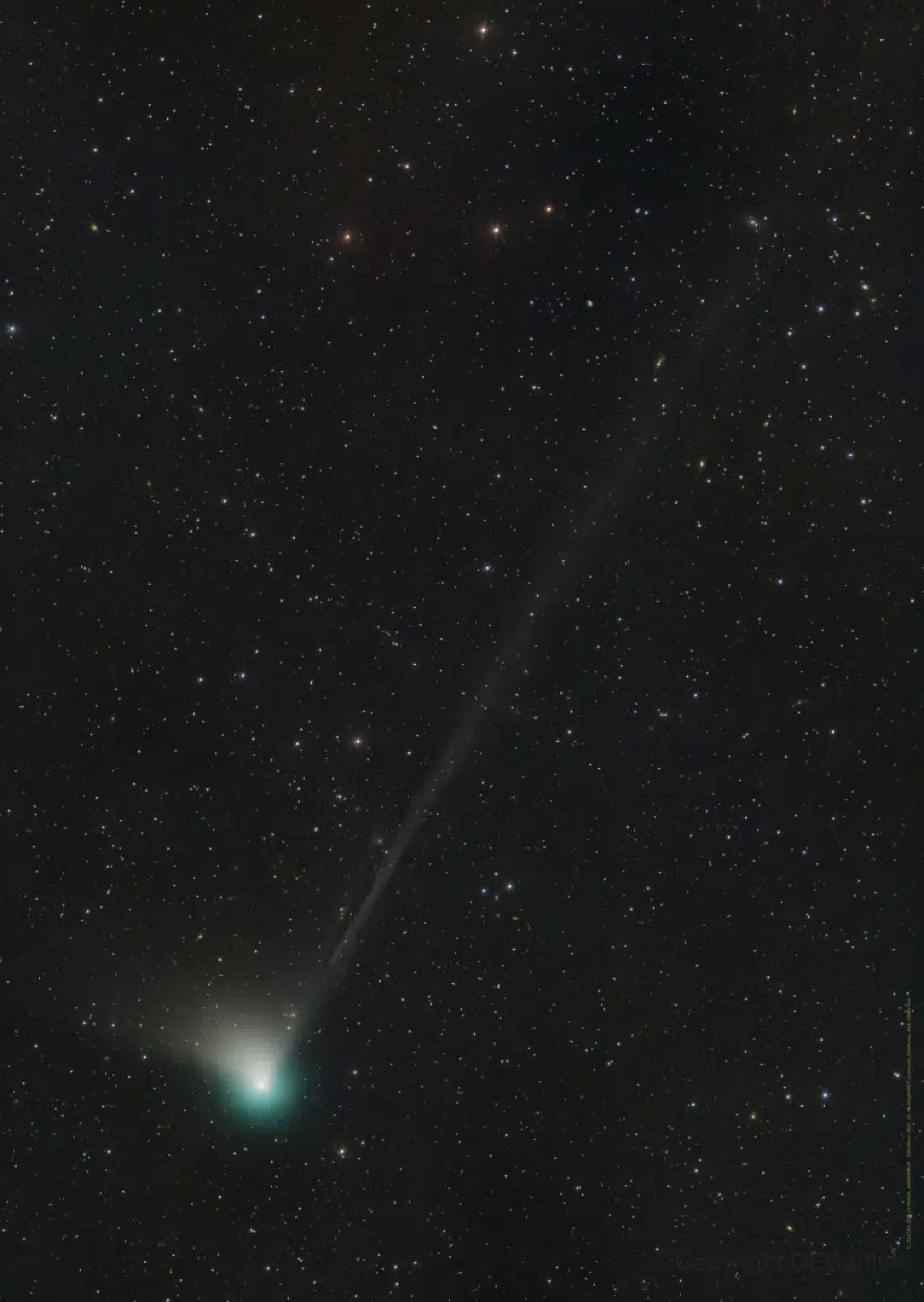 This photo provided by Dan Bartlett shows comet C/2022 E3 (ZTF) on Dec. 19, 2022. It last visited during Neanderthal times, according to NASA. It is expected to come within 26 million miles (42 million kilometers) of Earth on Feb. 1, 2023, before speeding away again, unlikely to return for millions of years. (Dan Bartlett via AP)