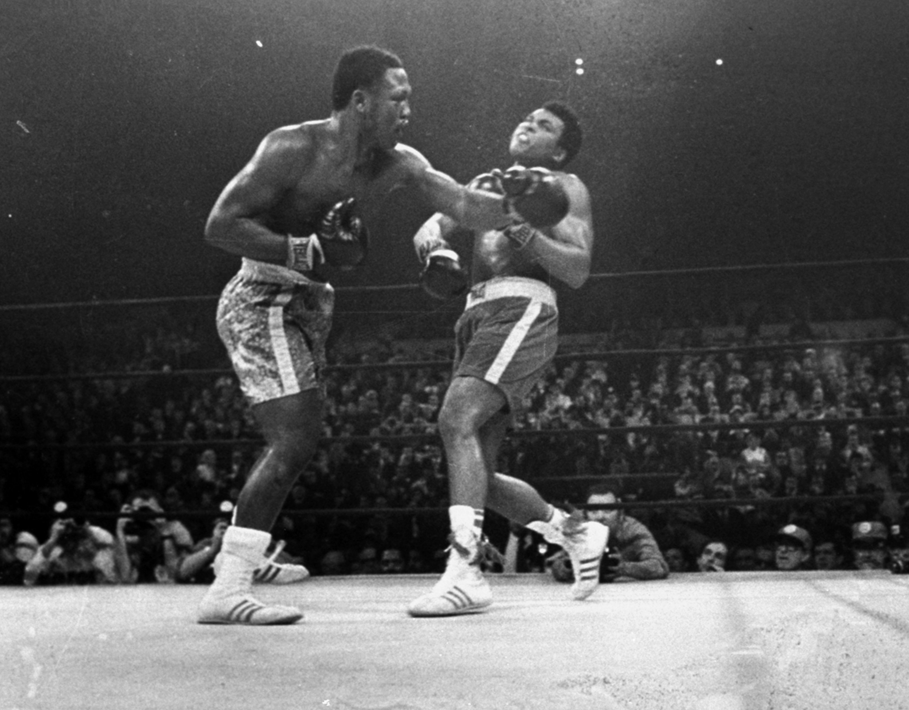  Undefeated! The Shadow Boxing Program for Parkinson's