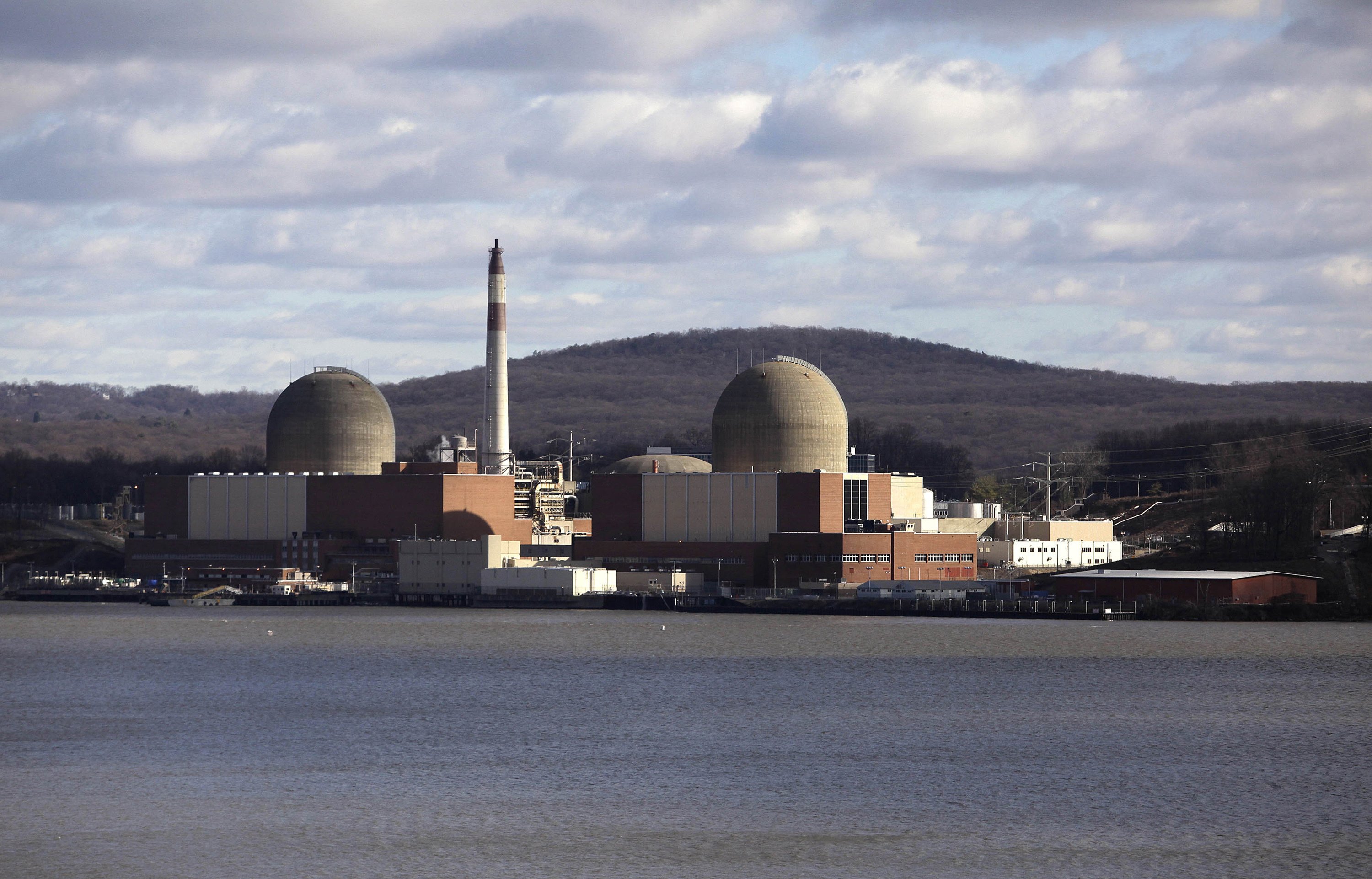 NYCarea nuclear plant sale for is approved